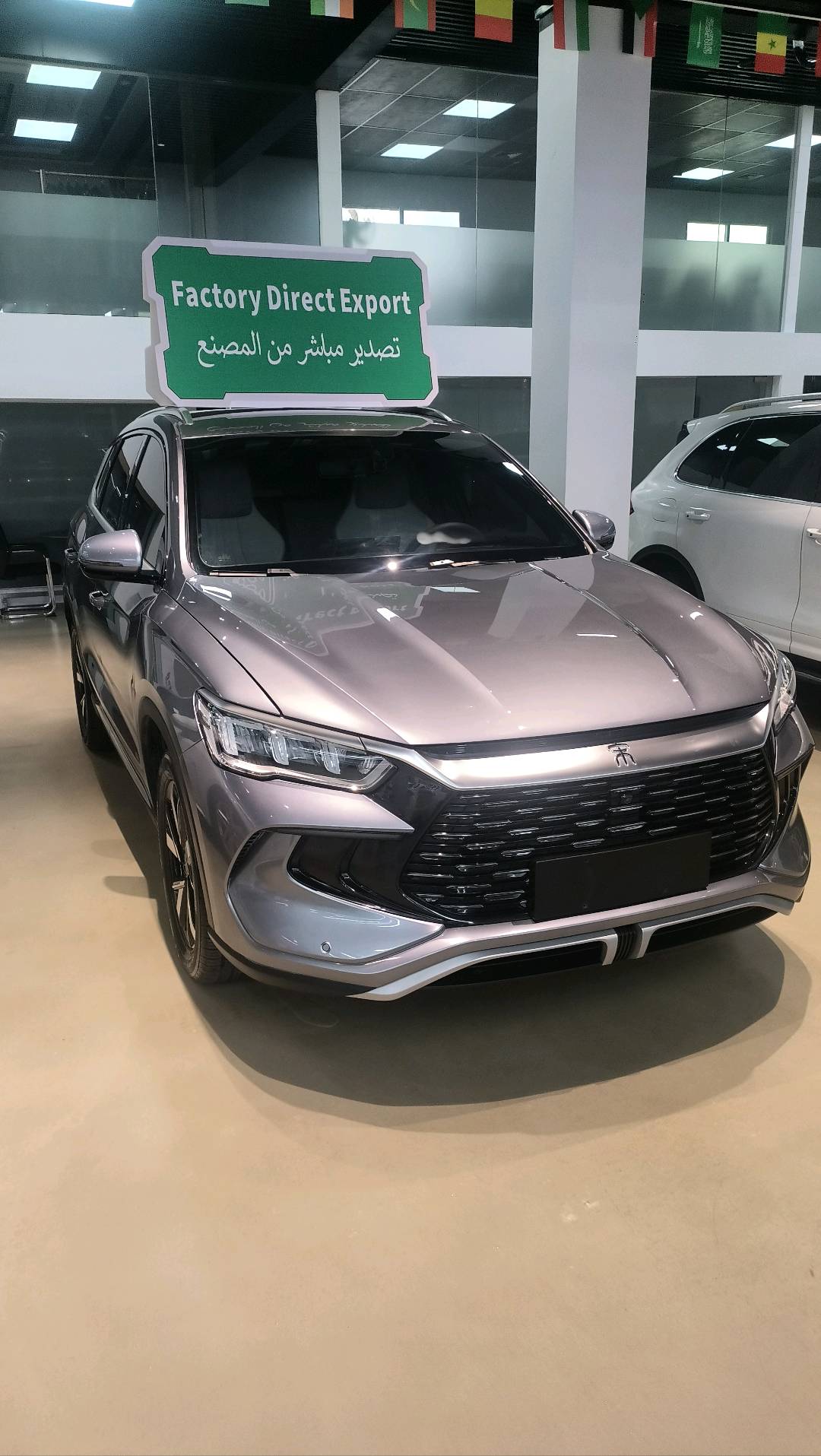 Siyang Pro DM-i 1.5 CVT Rongyi Edition Surpassing Type 71KM