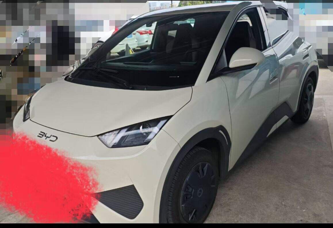 2025 Smart Driving Edition 305km Version Vitalité