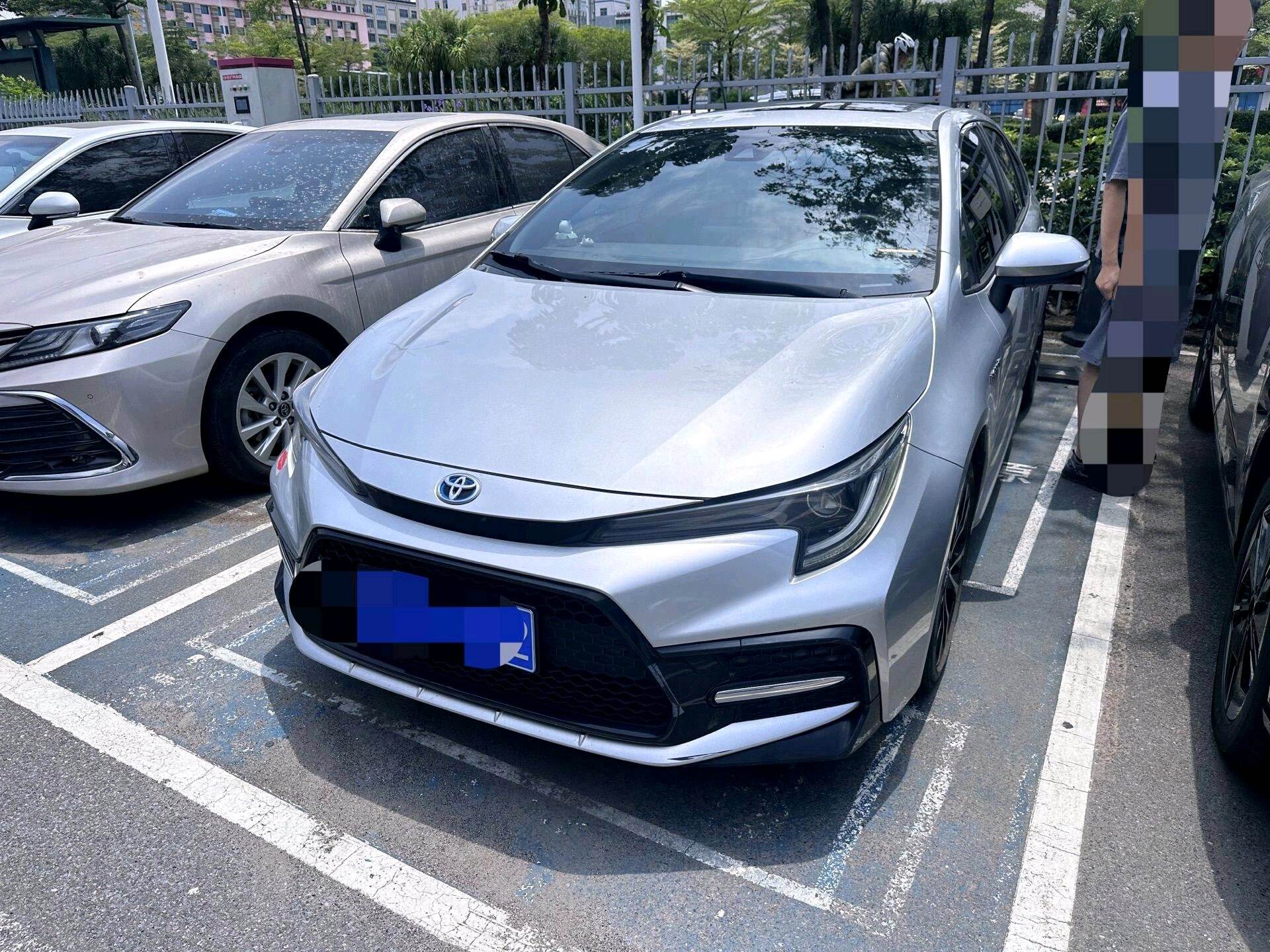 2019 Levin Hybrid 1.8H CVT Sport Edition