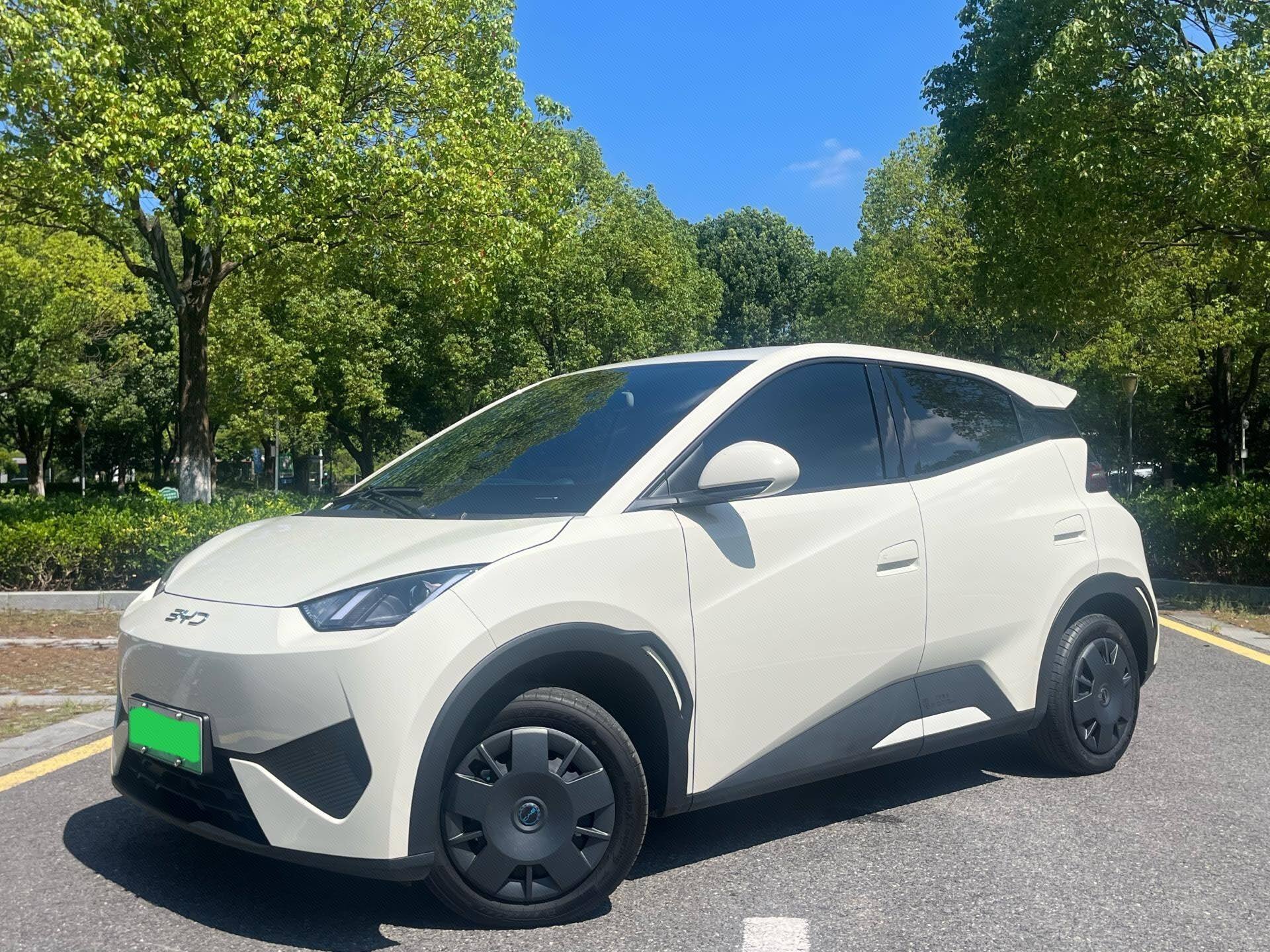 2025 Smart Driving Edition 305km Version Vitalité