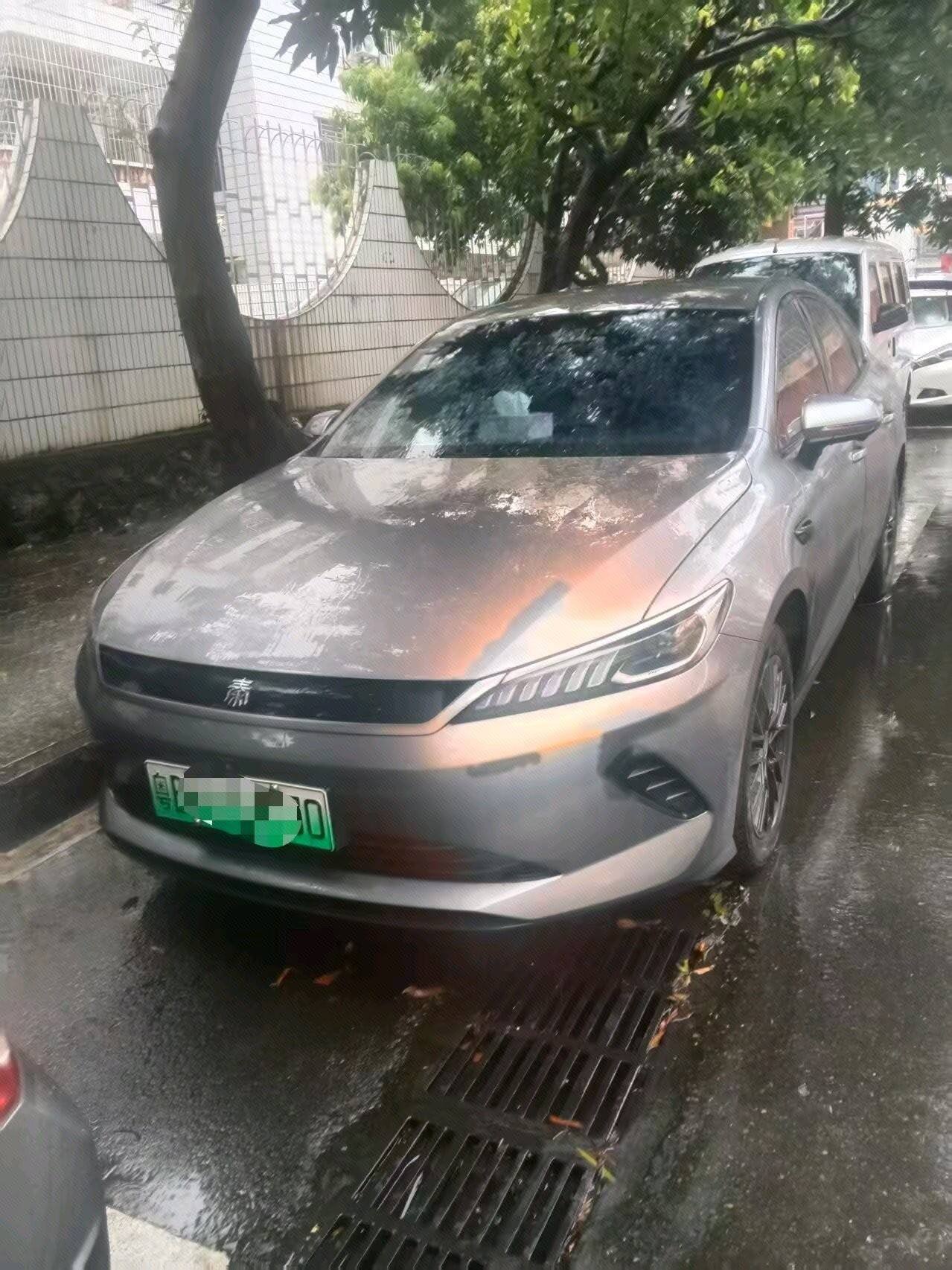 2025 Qin PLUS EV Intelligent Driving Edition 420KM Leading Type