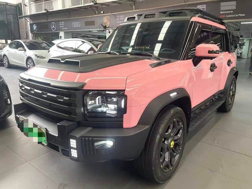 2024 Shanyah T2 C-DM 1.5T 208KM Shanyuan Edition