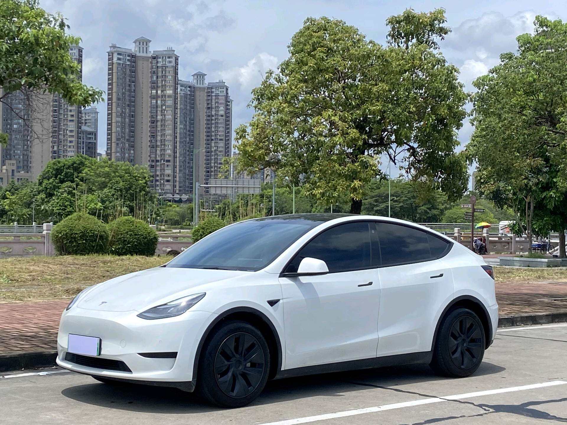 2023 Model Y Rear Wheel Drive