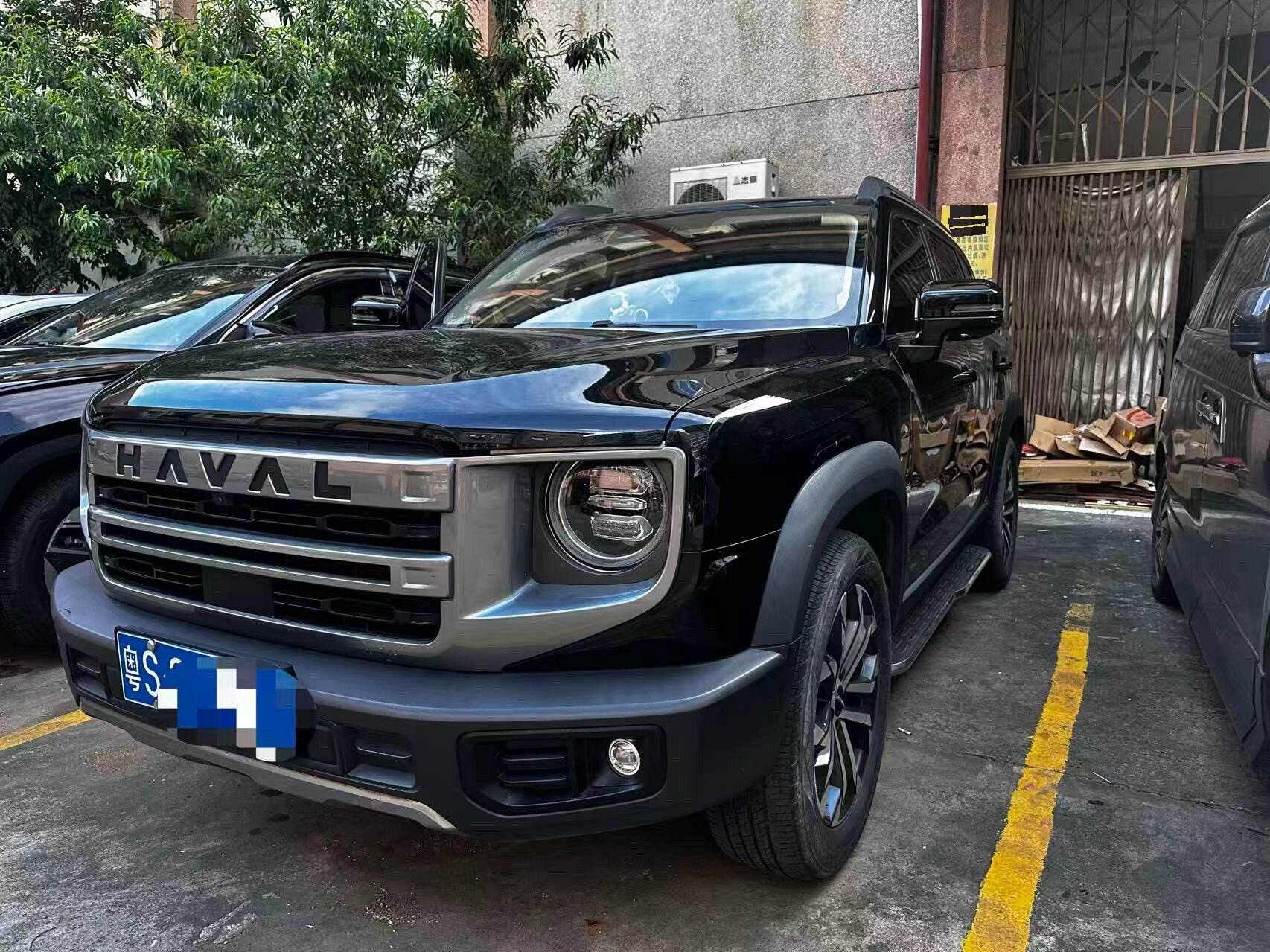 Dagou 1.5T Border Collie Edition