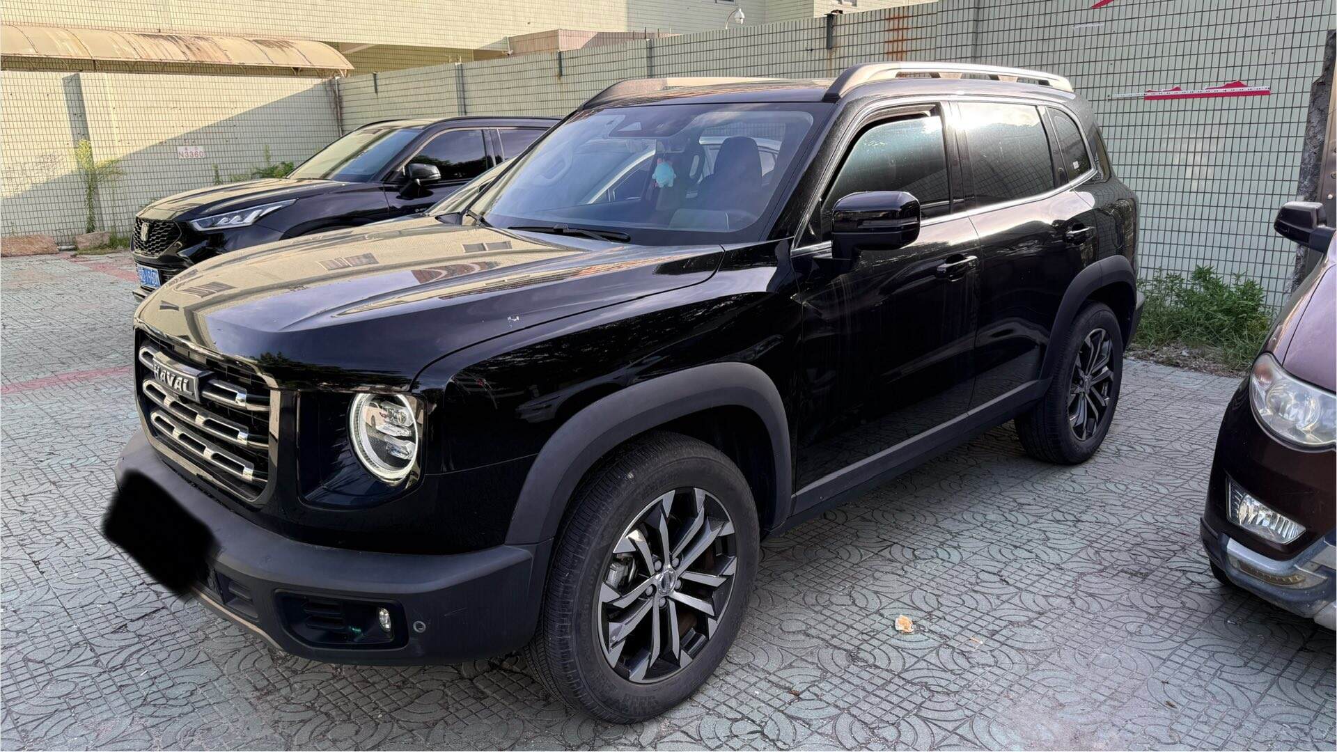 2022 Doge 1.5T 2WD Border Collie Edition