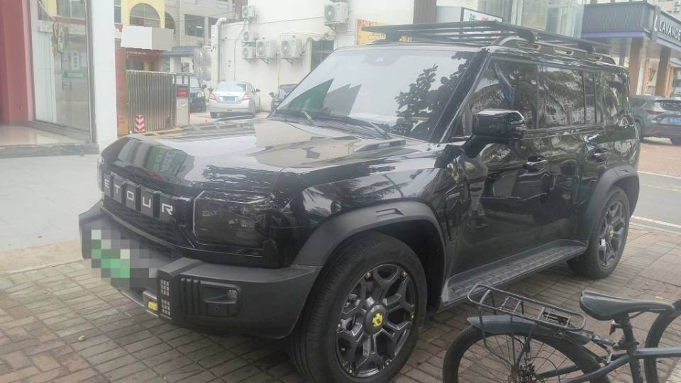 2025 Shanhai T2 C-DM 1.5T 208KM Wilderness Edition