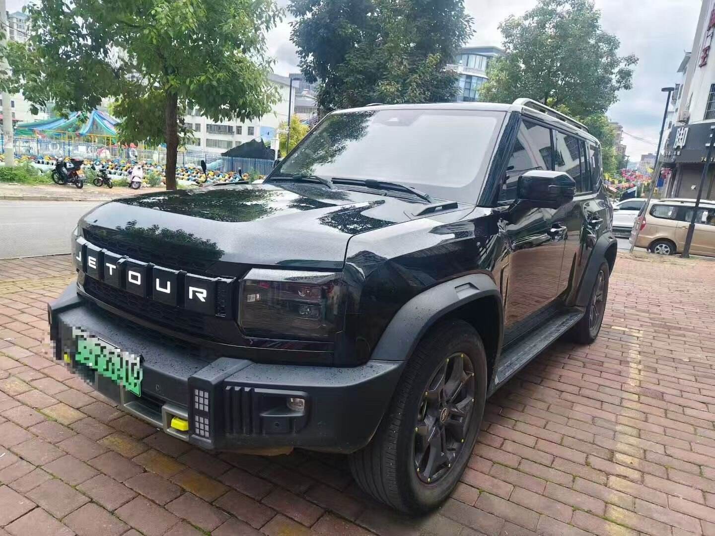 2024 Shanyah T2 C-DM 1.5T 129KM Linyuan Edition