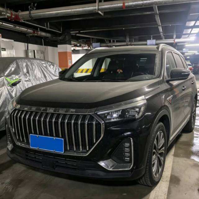 X90 Plus 1.6TD Bieshu 7 Seat