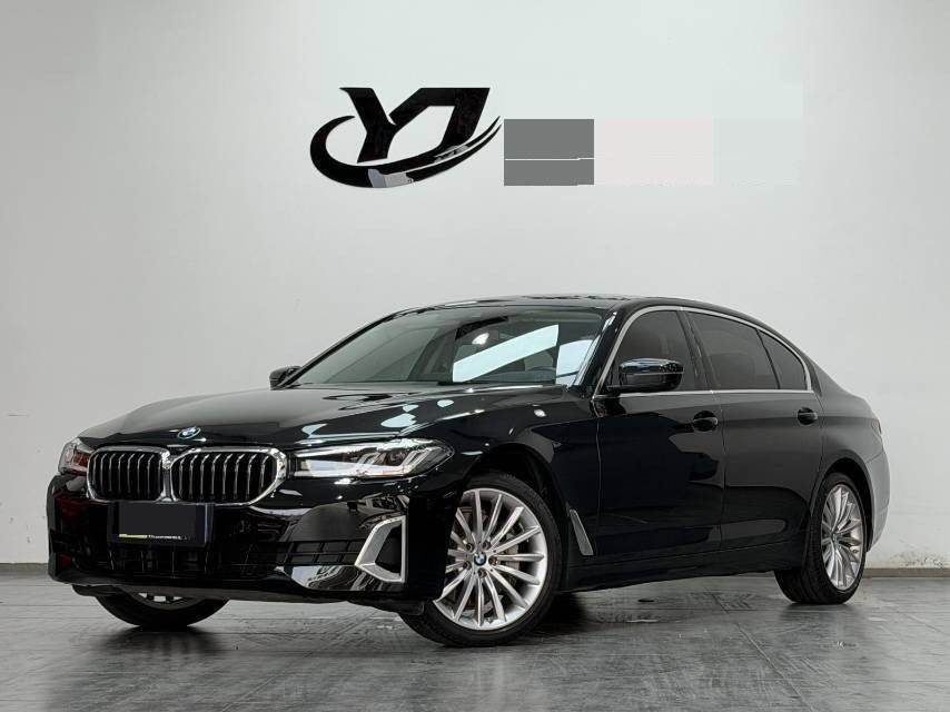 2021 530Li 2.0T Premium Luxury Package