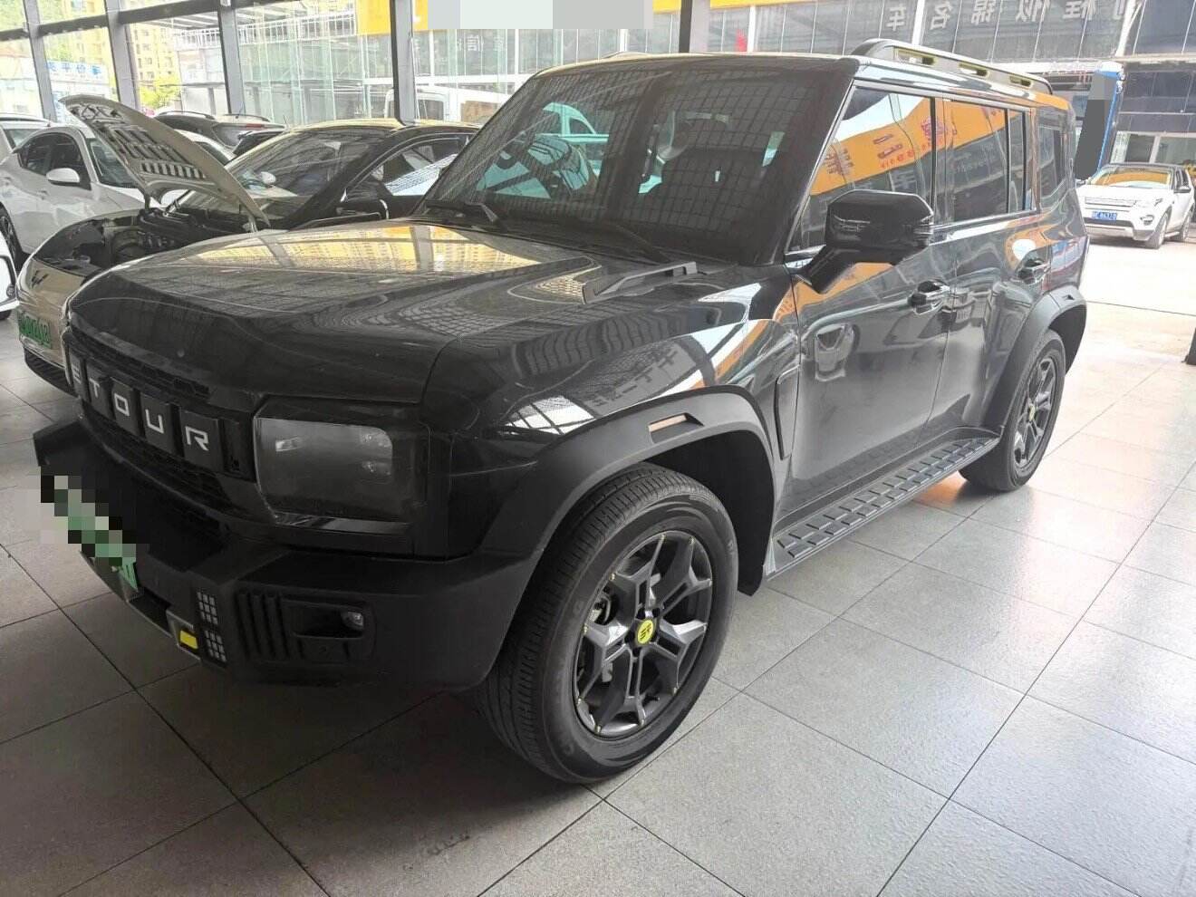 2024 Shanyah T2 C-DM 1.5T 129KM Linyuan Edition
