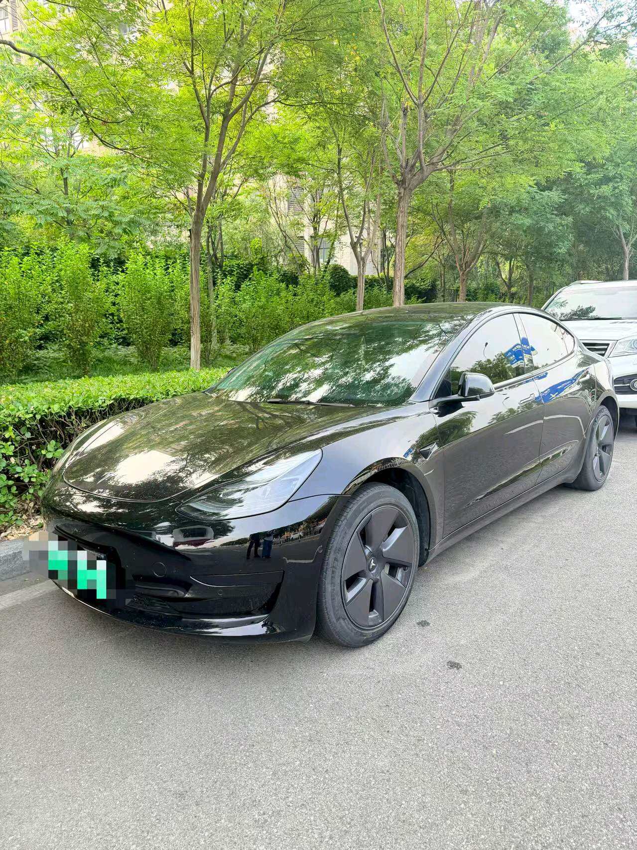 Model 3 Rear-wheel Drive