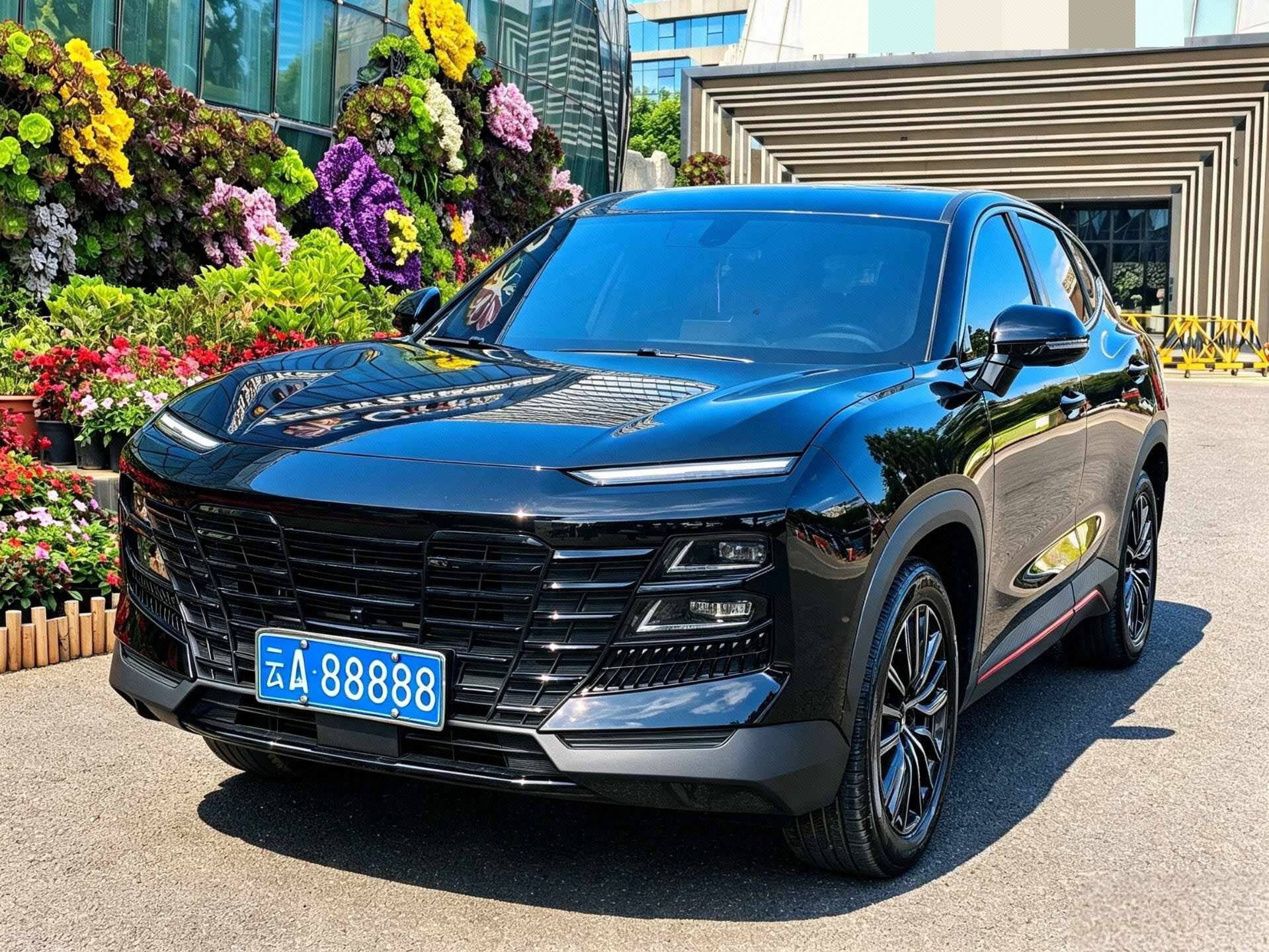 Dasi 1.6T Wangzhe