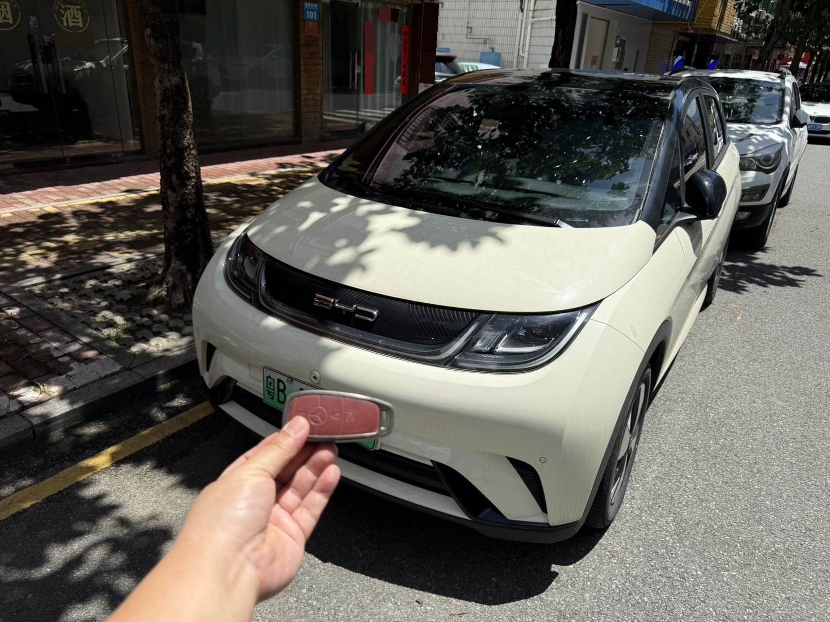 Haima Dian 420km Shangshi Bendi