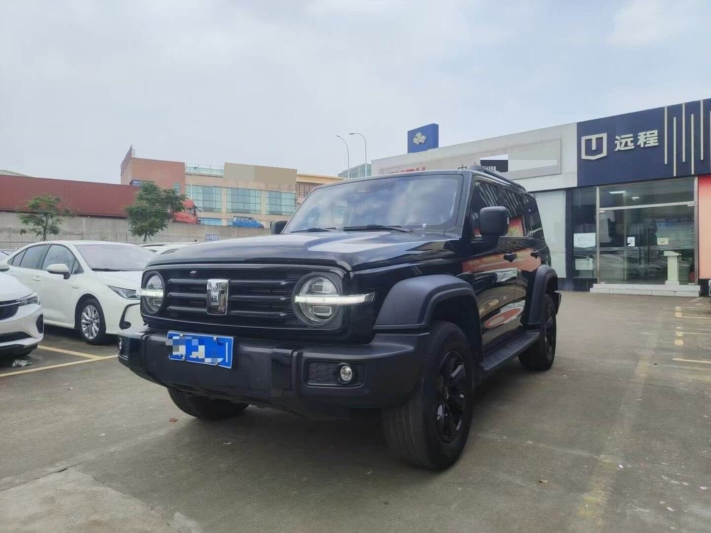 2024 Tanke 300 2.0T Zengfu Ren