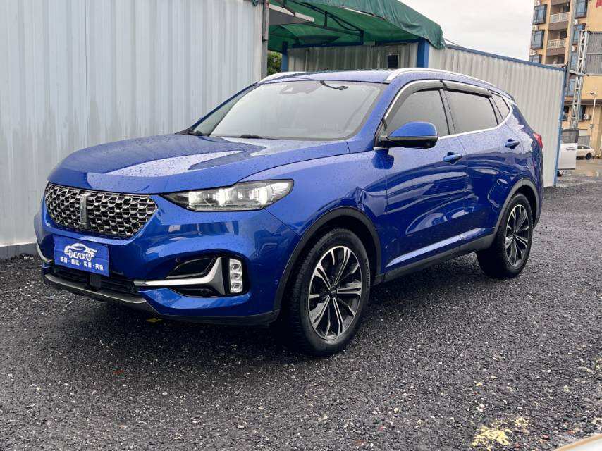 2021 VV6 2.0T 4WD智驭+