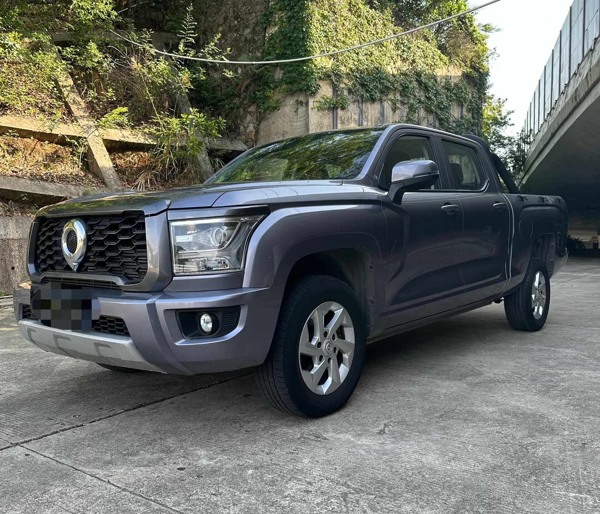 Jingangpiao 2.0T Diesel 2WD Entrepreneur Long Box Flat Box
