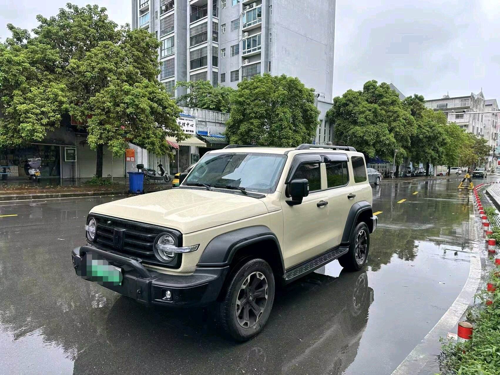 2025 Tanke 300 Hi4-T 2.0T Hi4-T