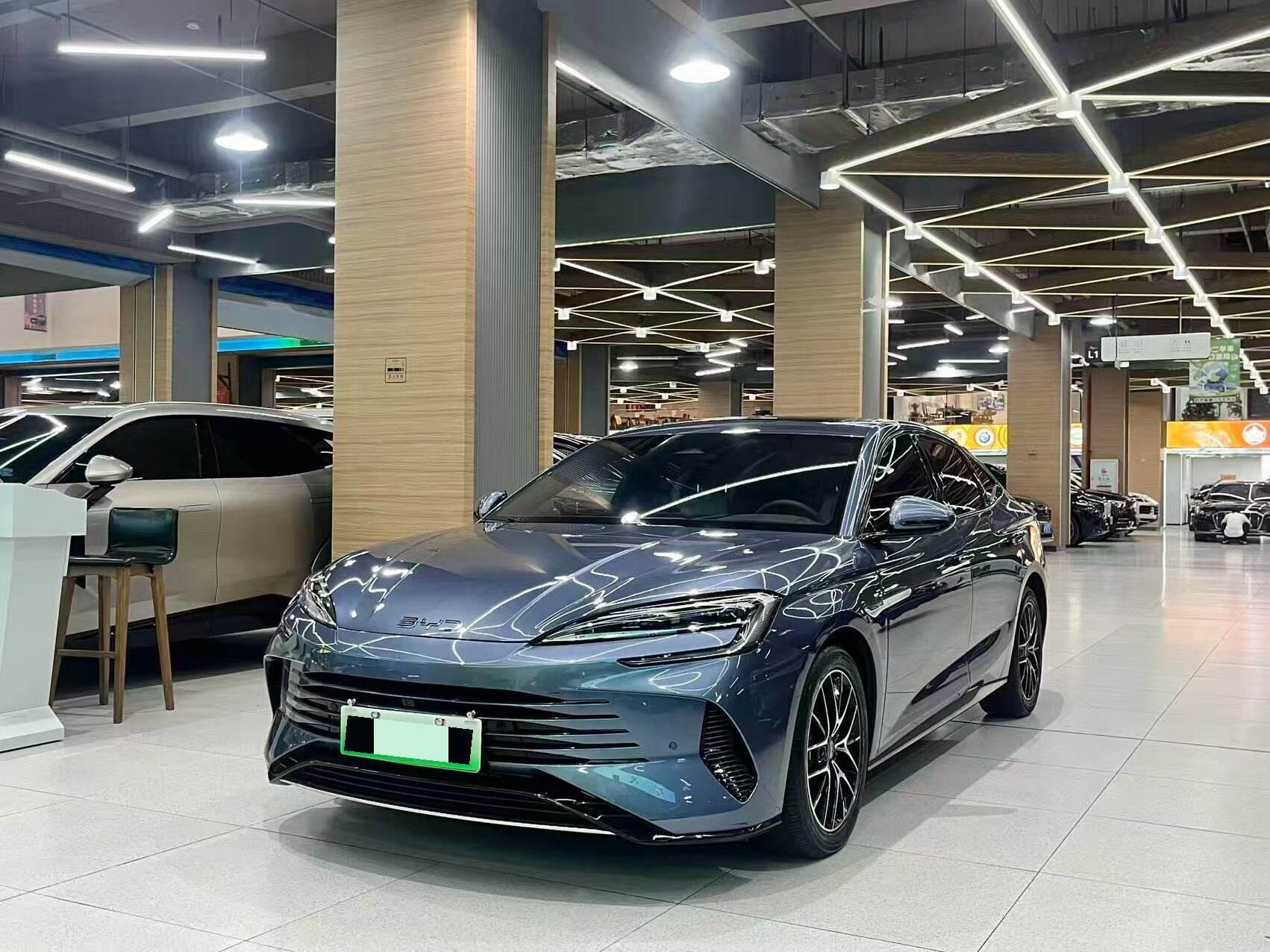 2023 Hai豹 DM-i 1.5T CVT 121km Fangqixing