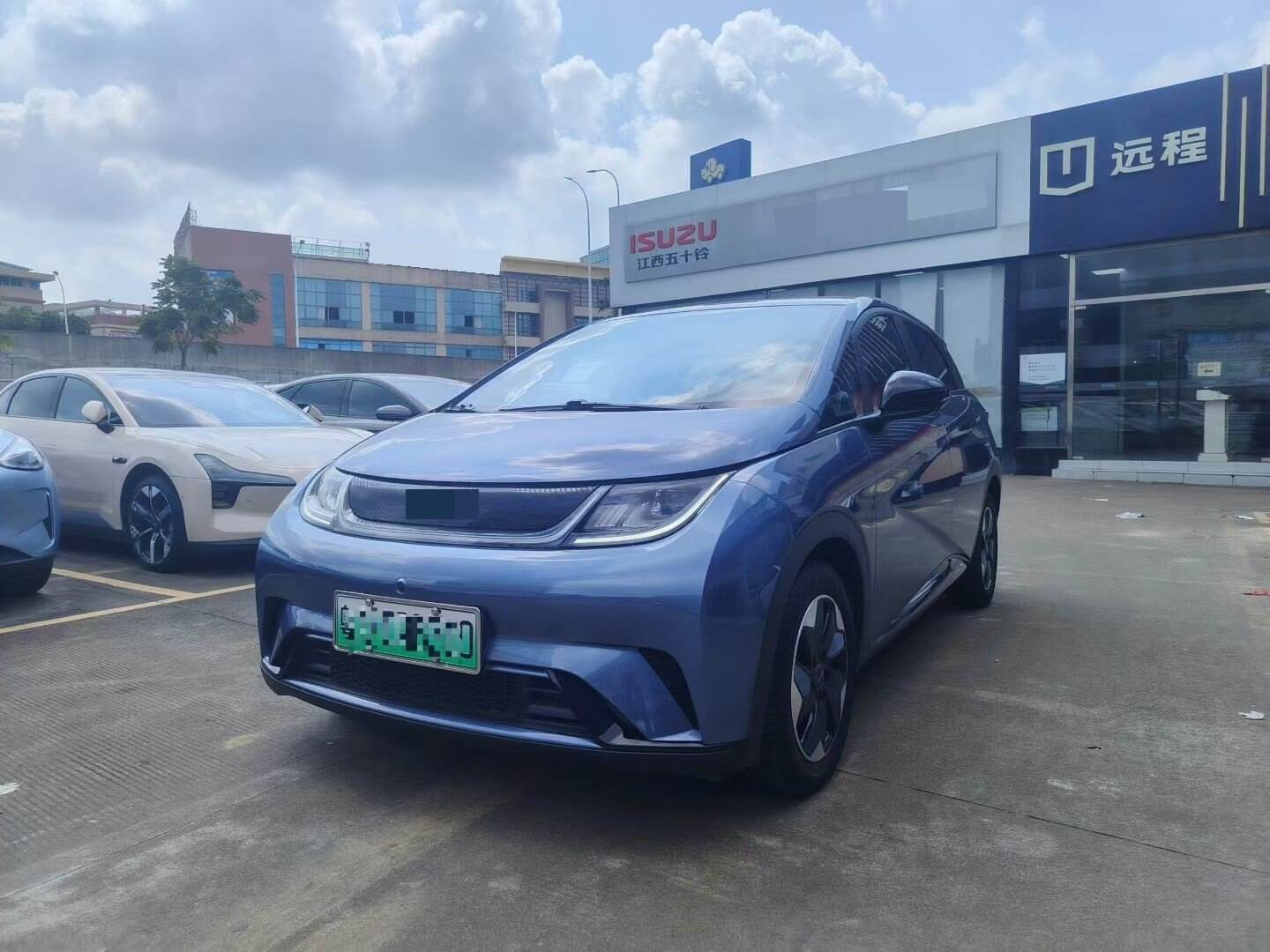 2025 Dolphin 420km Free Edition