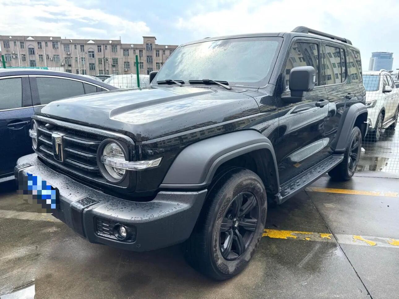 2024 Tanke 300 2.0T Zengfu Ren
