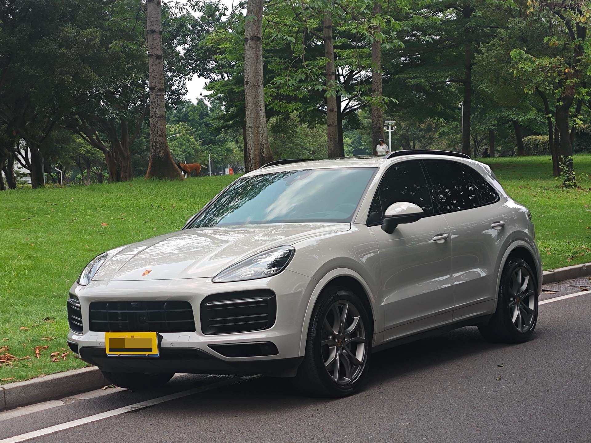 Cayenne S 2.9T Platinum Edition