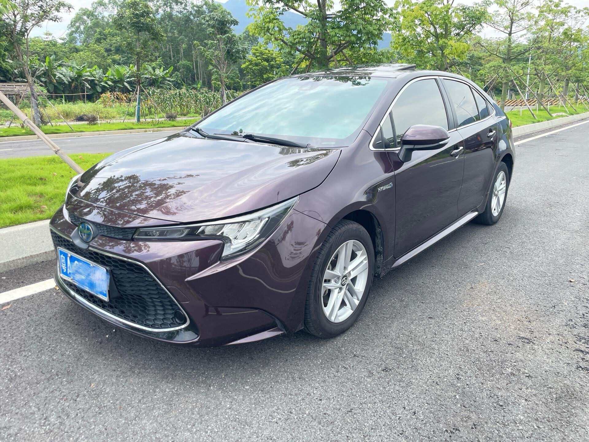 2019 Levin Hybrid 1.8H CVT Luxury Edition