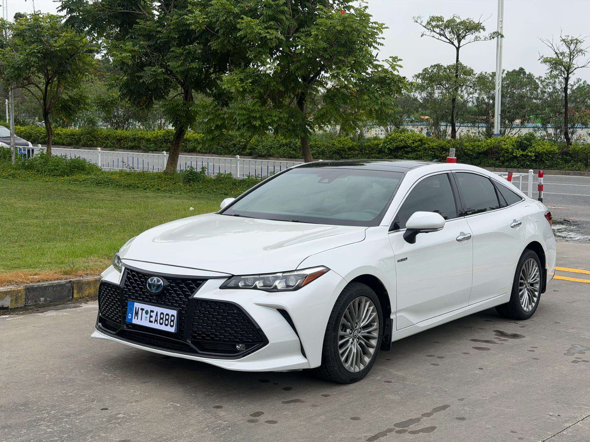 2019 Avalon Hybrid 2.5 CVT XLE Premium
