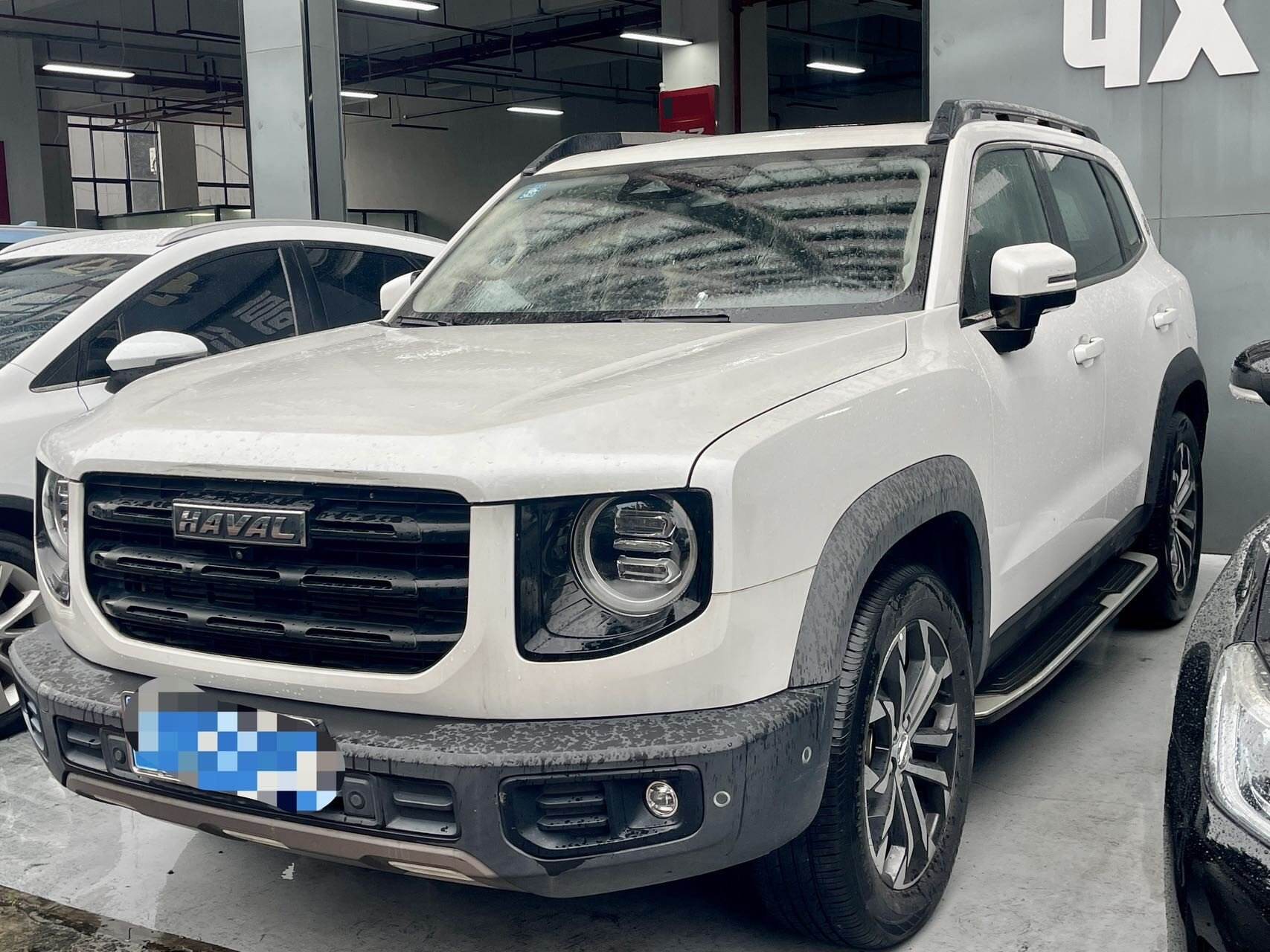Malamute Edition 1.5T
