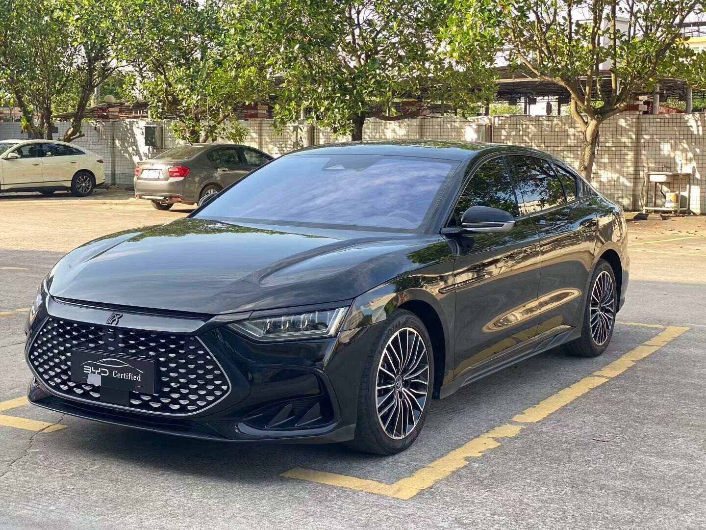 2023 Yidong DM-i 1.5T Wuji Junzheng Ban 121KM Zunrongxing