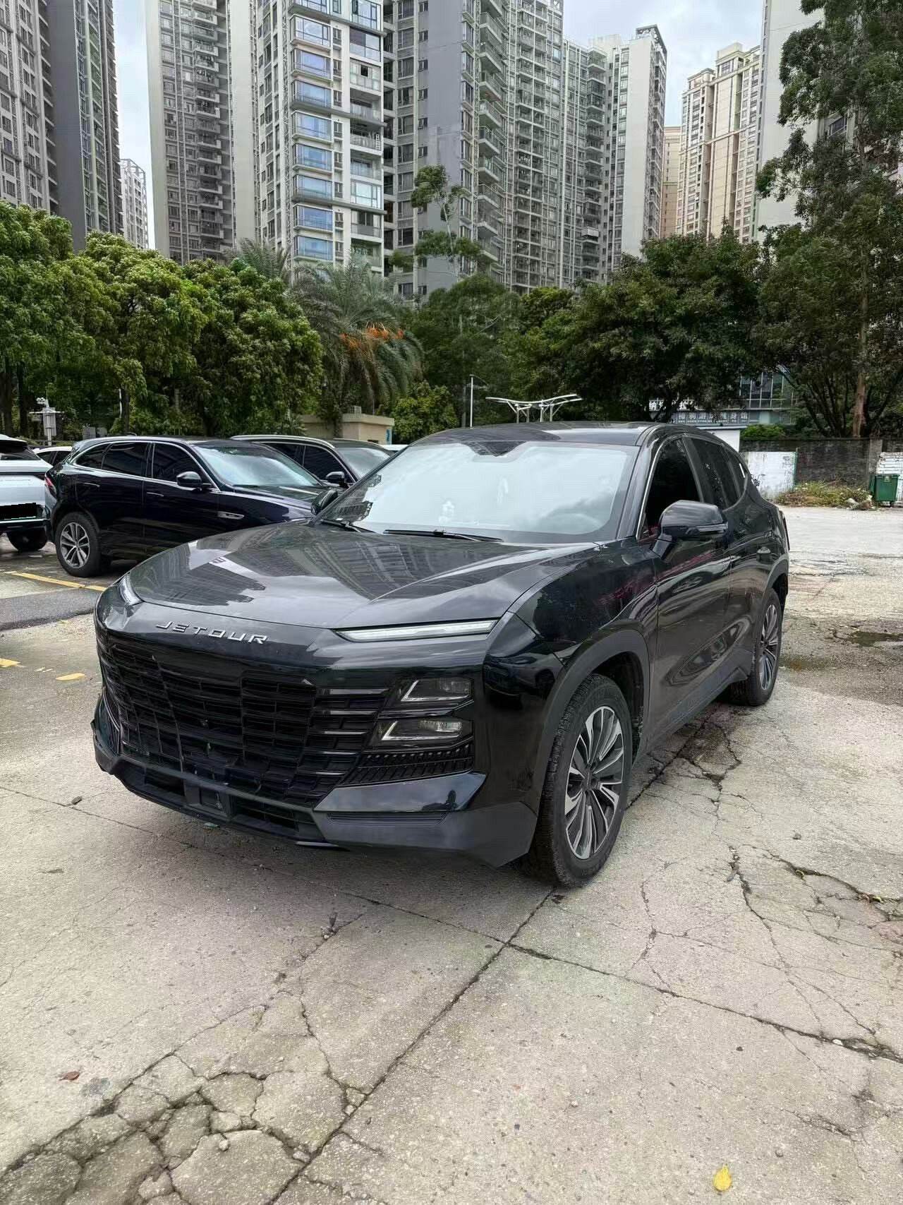 Dasi 1.6T Wangzhe PLUS