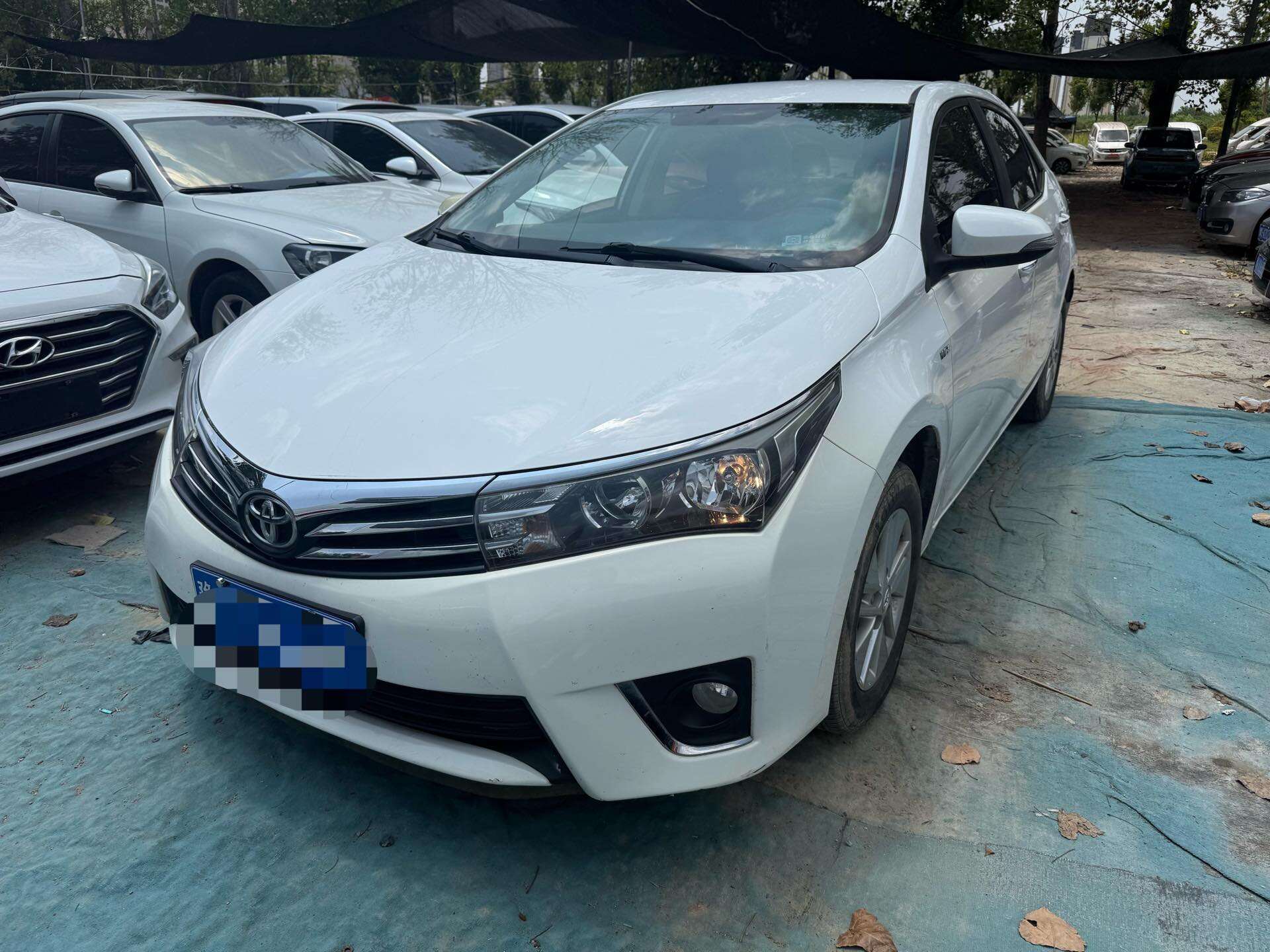 Corolla 1.6 GL (Revised)