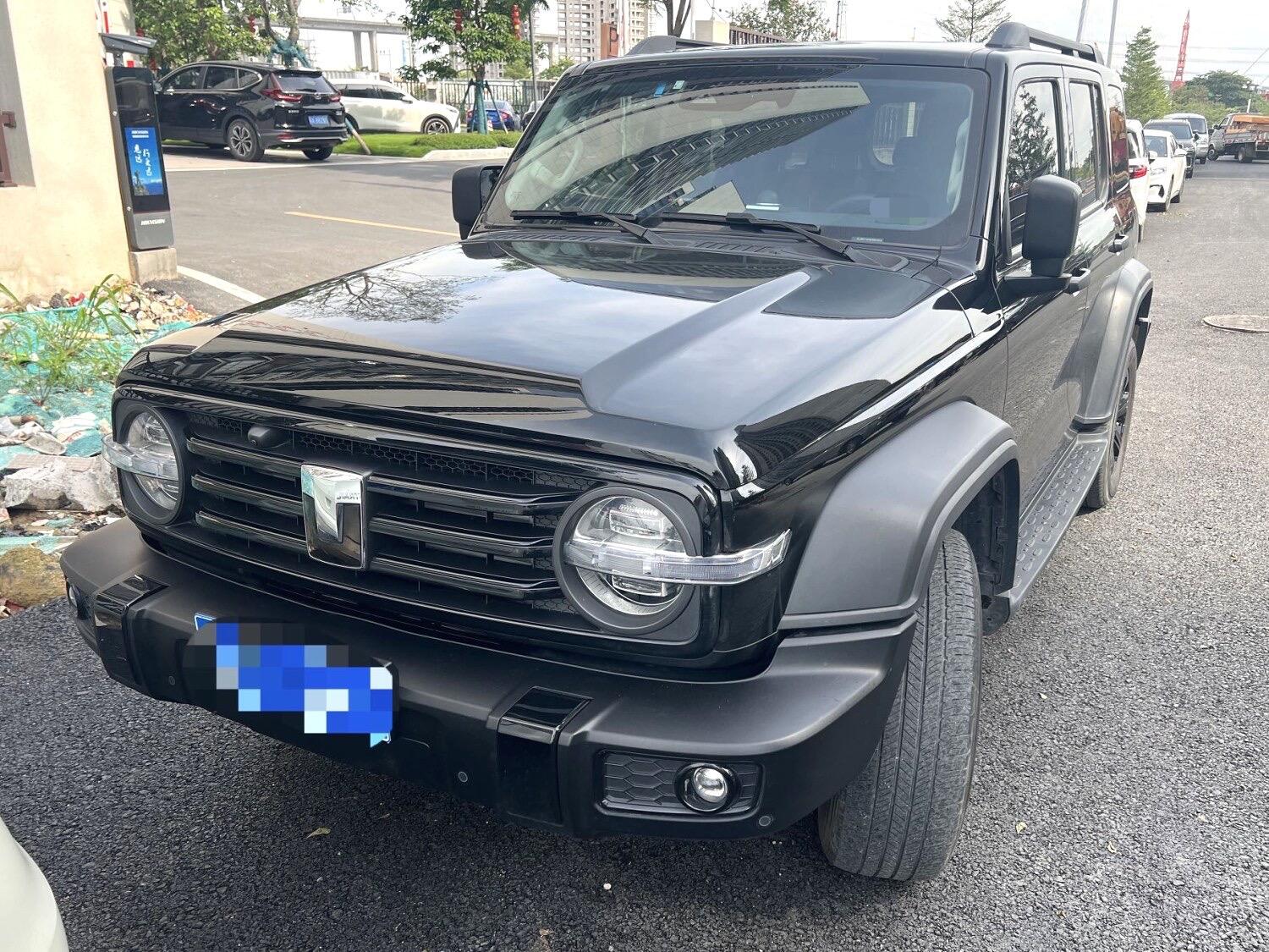2024 Tanke 300 2.0T Zengfu Ren