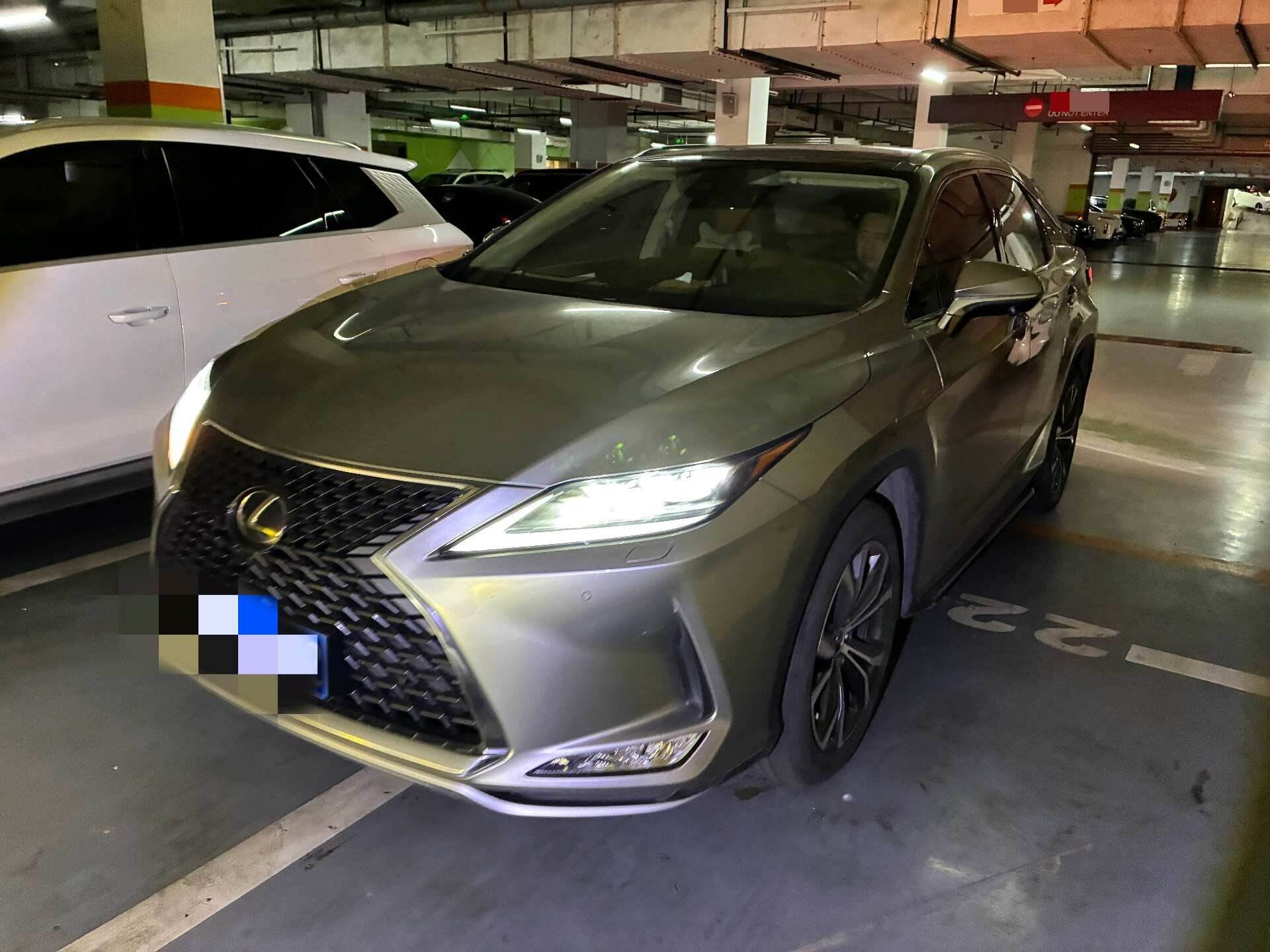 RX300 2.0T AWD Elegant