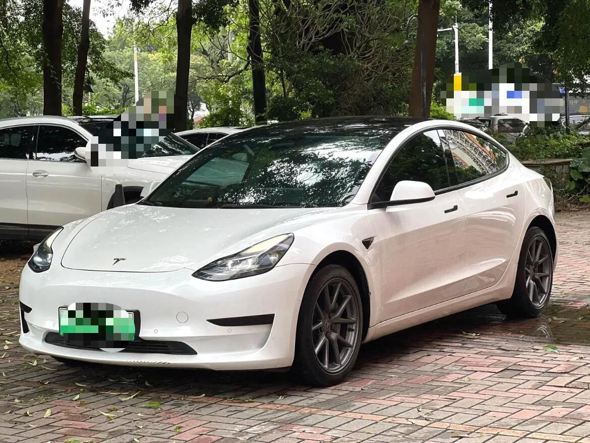 Model 3 Rear-wheel Drive