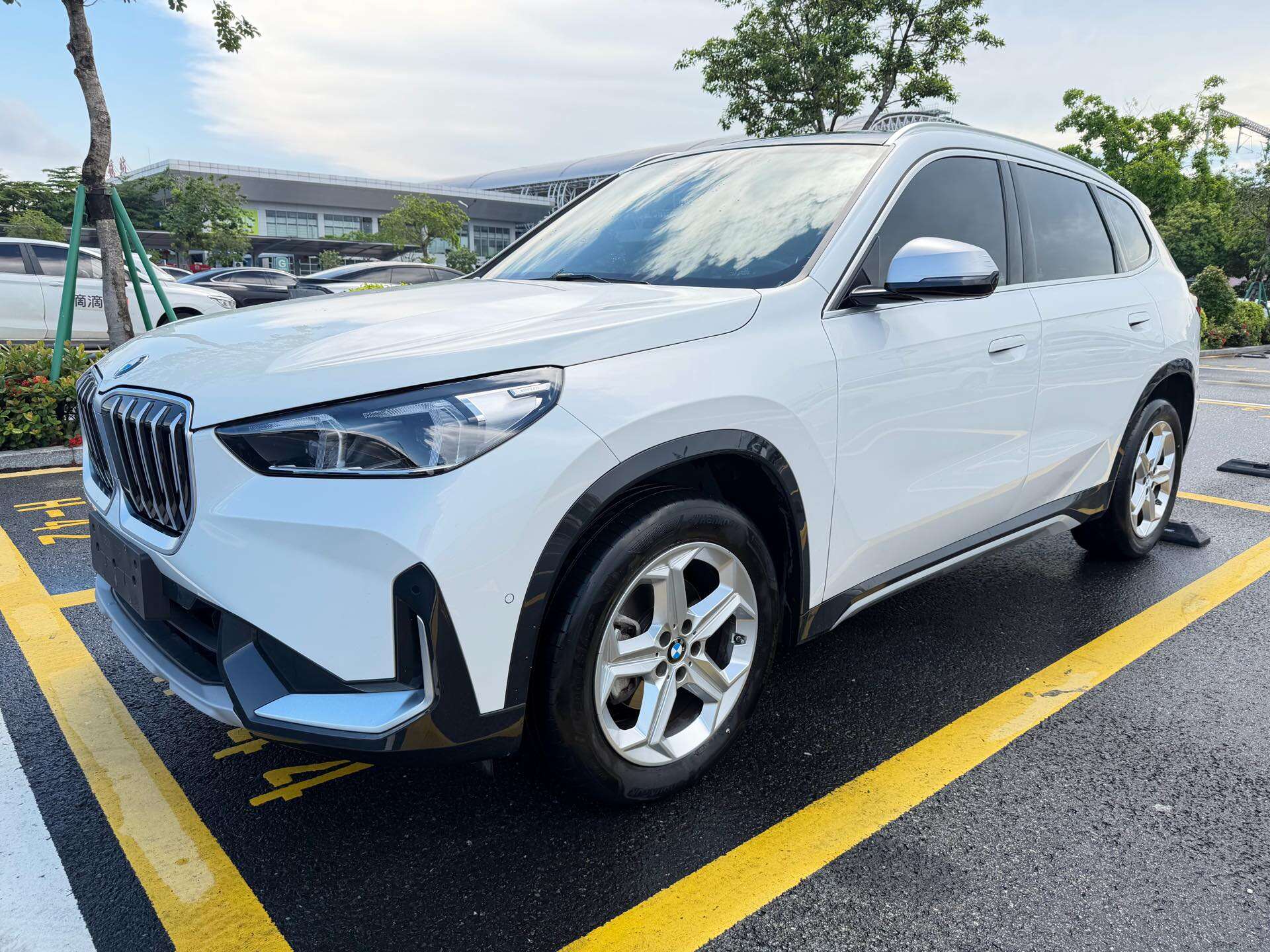 X1 sDrive20Li 1.5T X Design Package
