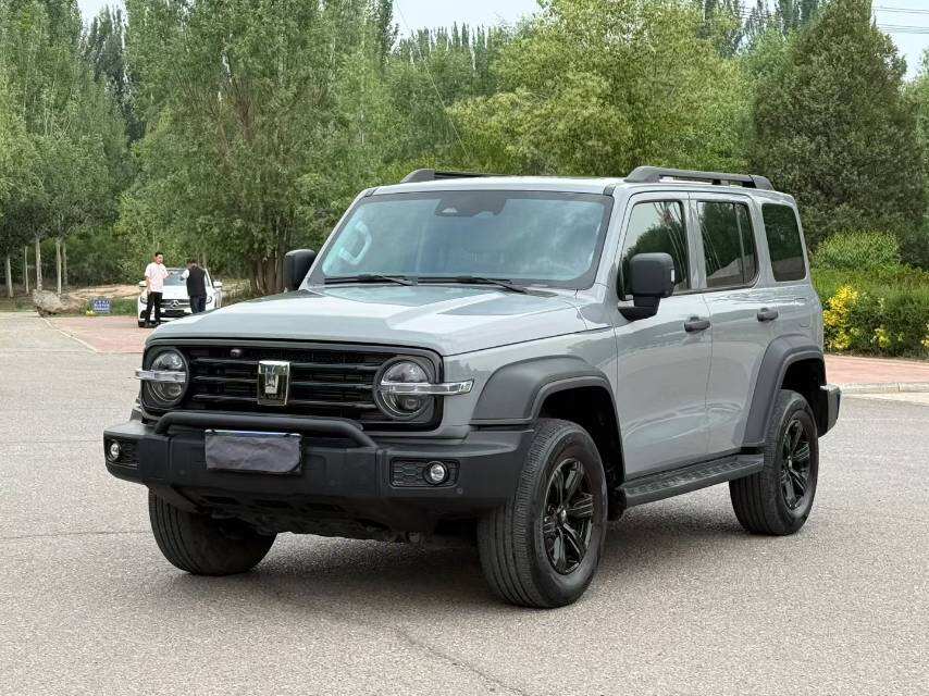 2024 Tanke 300 2.0T Zengfu Ren