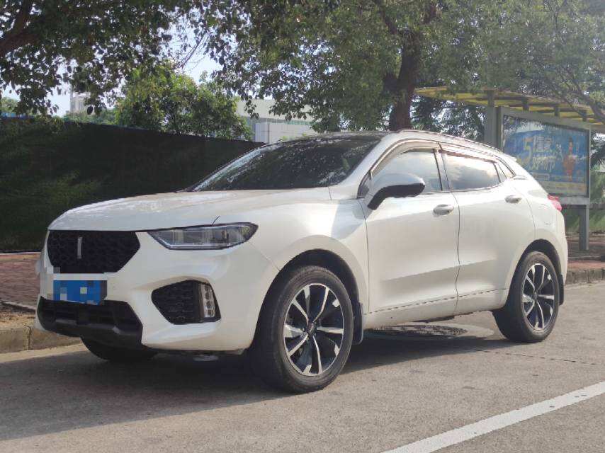 VV5 2.0T 2WD升级款超豪型