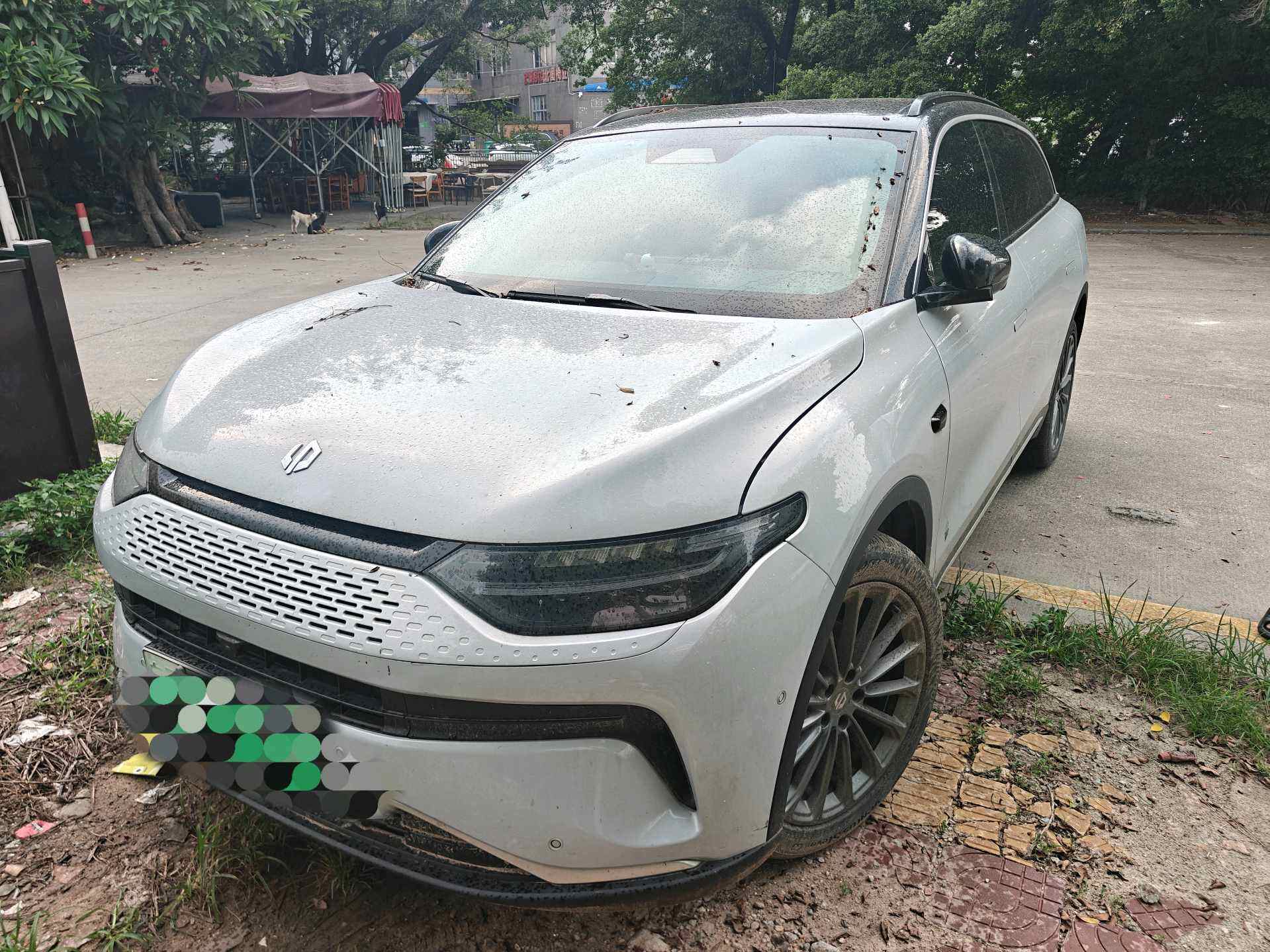 2024 C11 300 Zunxiang Edition