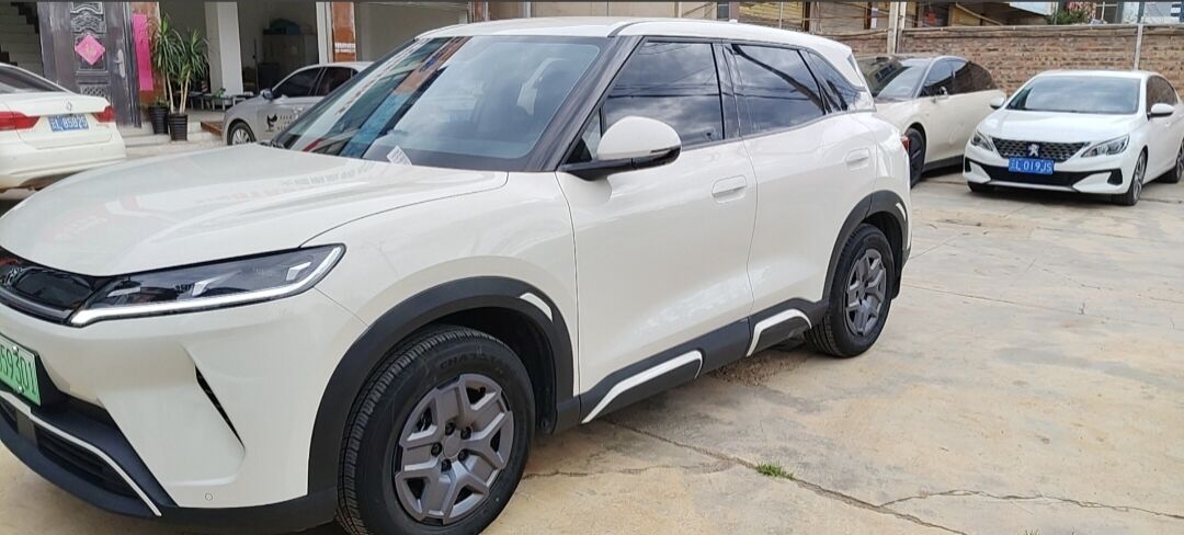 2025 Yuan UP 301 km Pilot Version