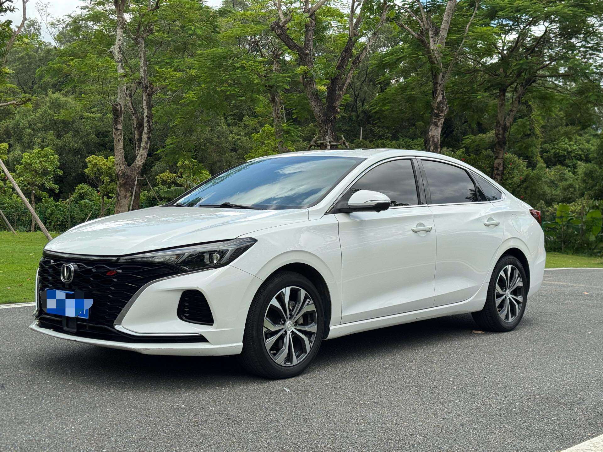 YidongPLUS 1.4TGDI 蓝鲸NE Flagship