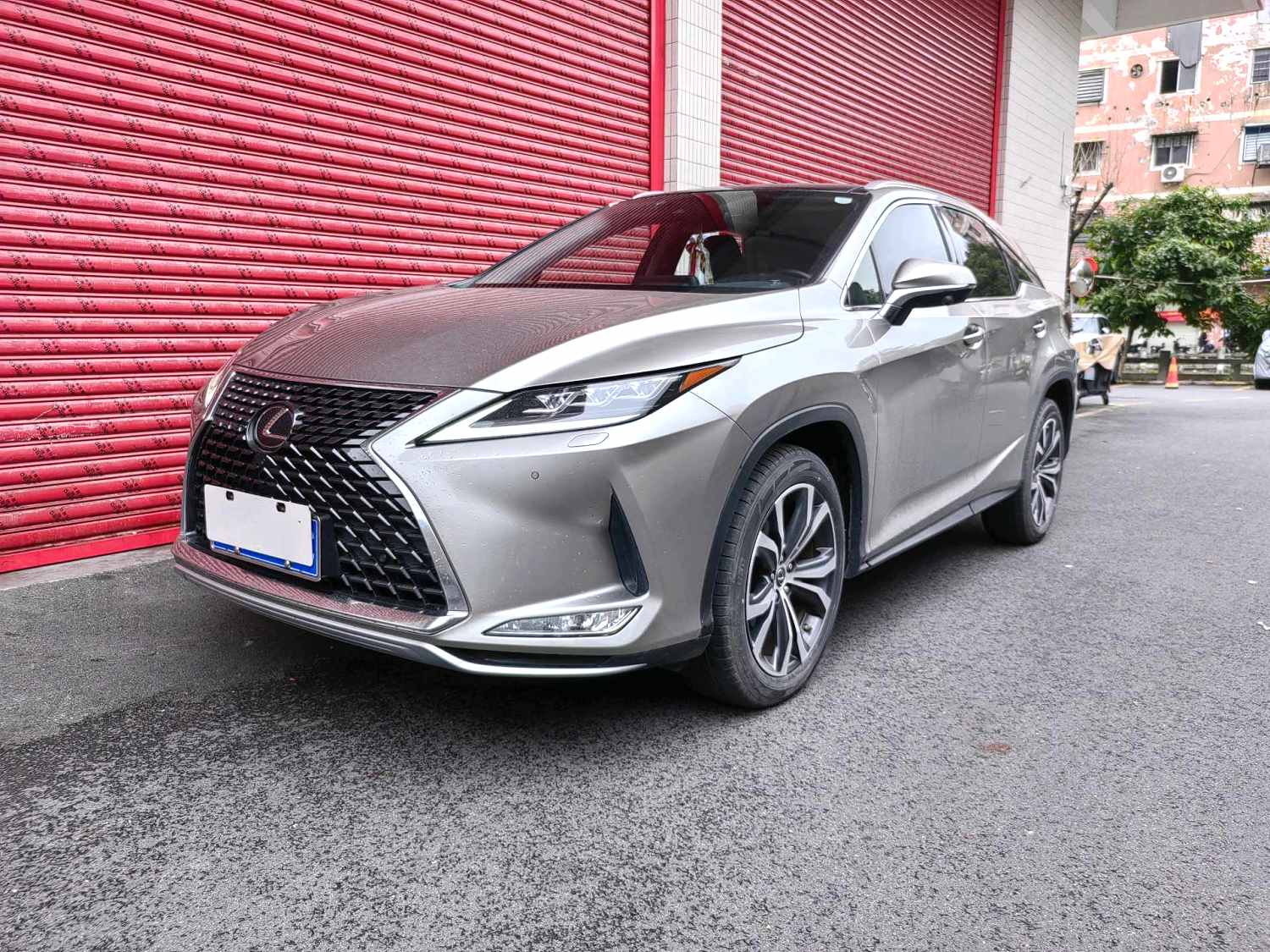 2021 RX300 2.0T AWD Special Edition