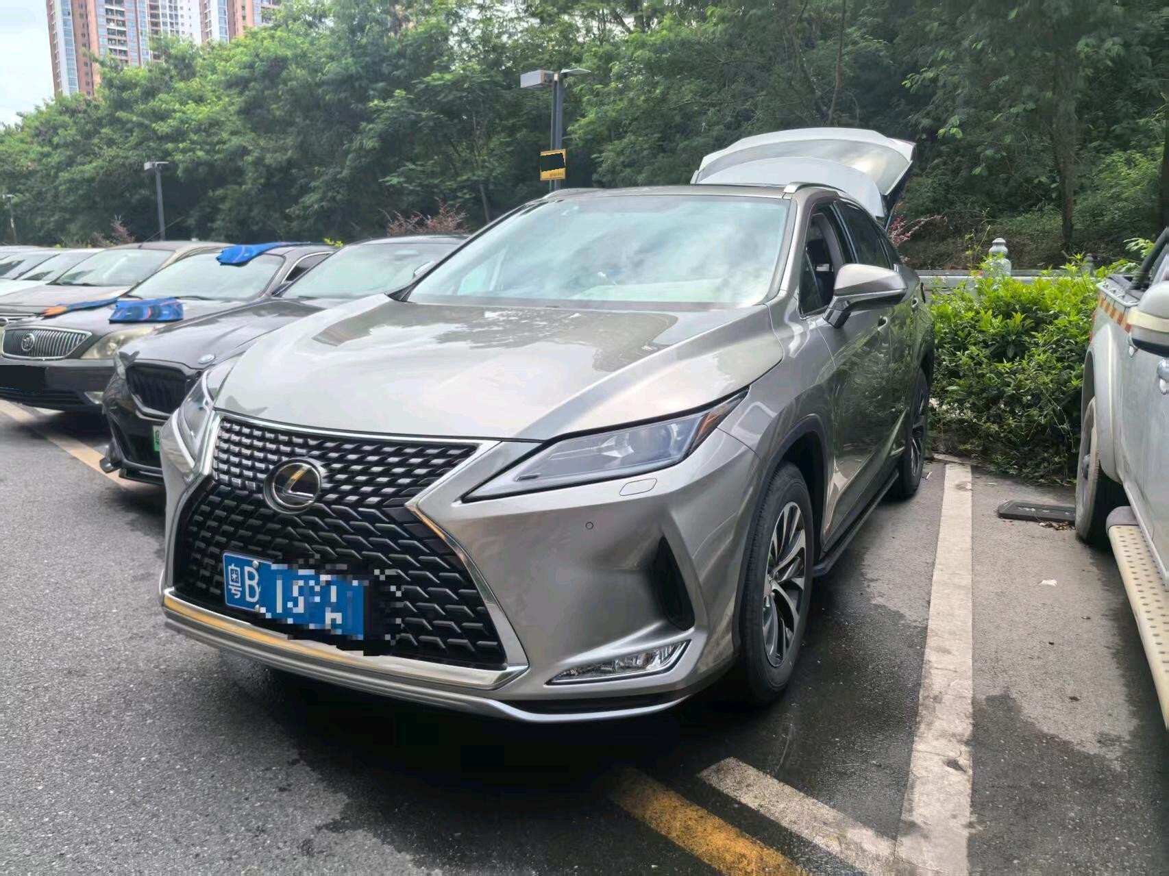 2020 RX300 2.0T Two-Wheel Drive Elite Edition (Renewal)