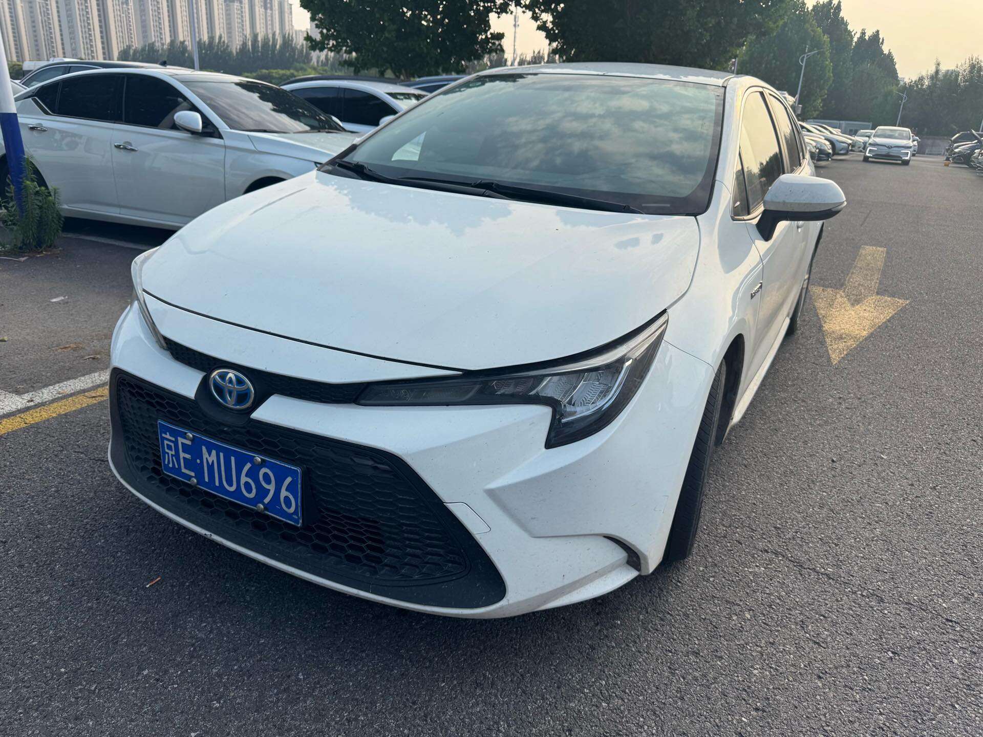 2022 Levin Hybrid 1.8H CVT Ambition Edition