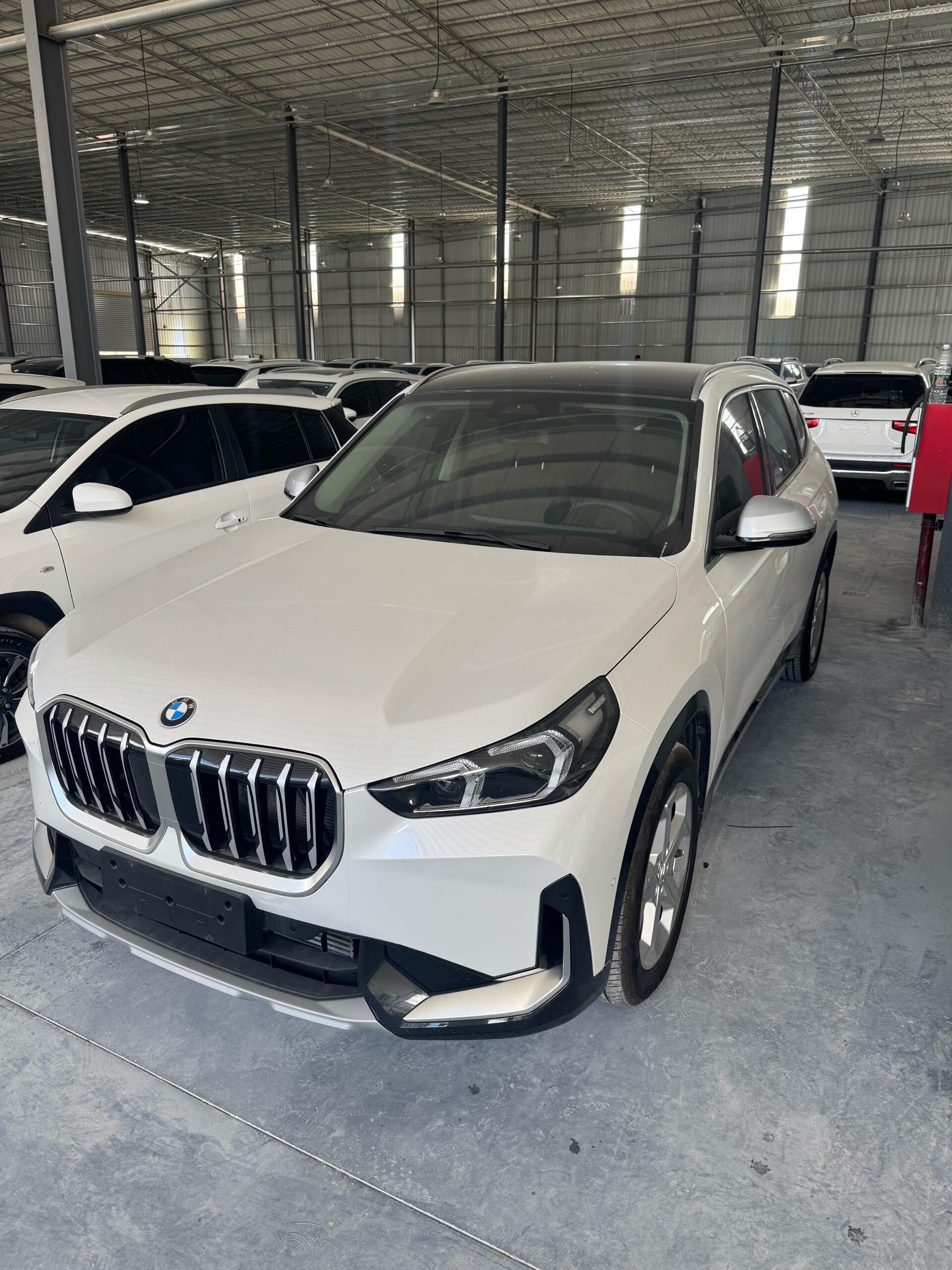 X1 sDrive20Li 1.5T X Design Package