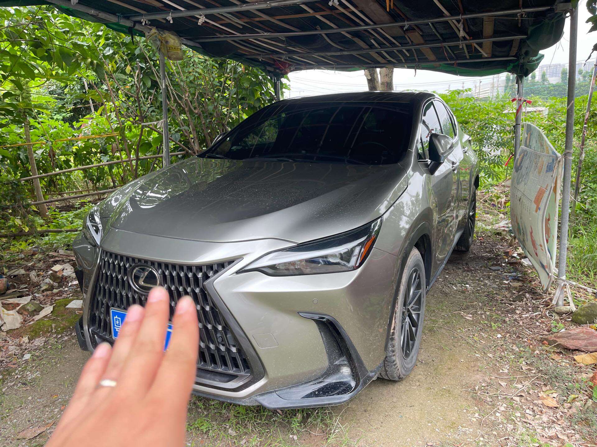 2024 NX350h 2.5 Unlimited Chuanye Edition