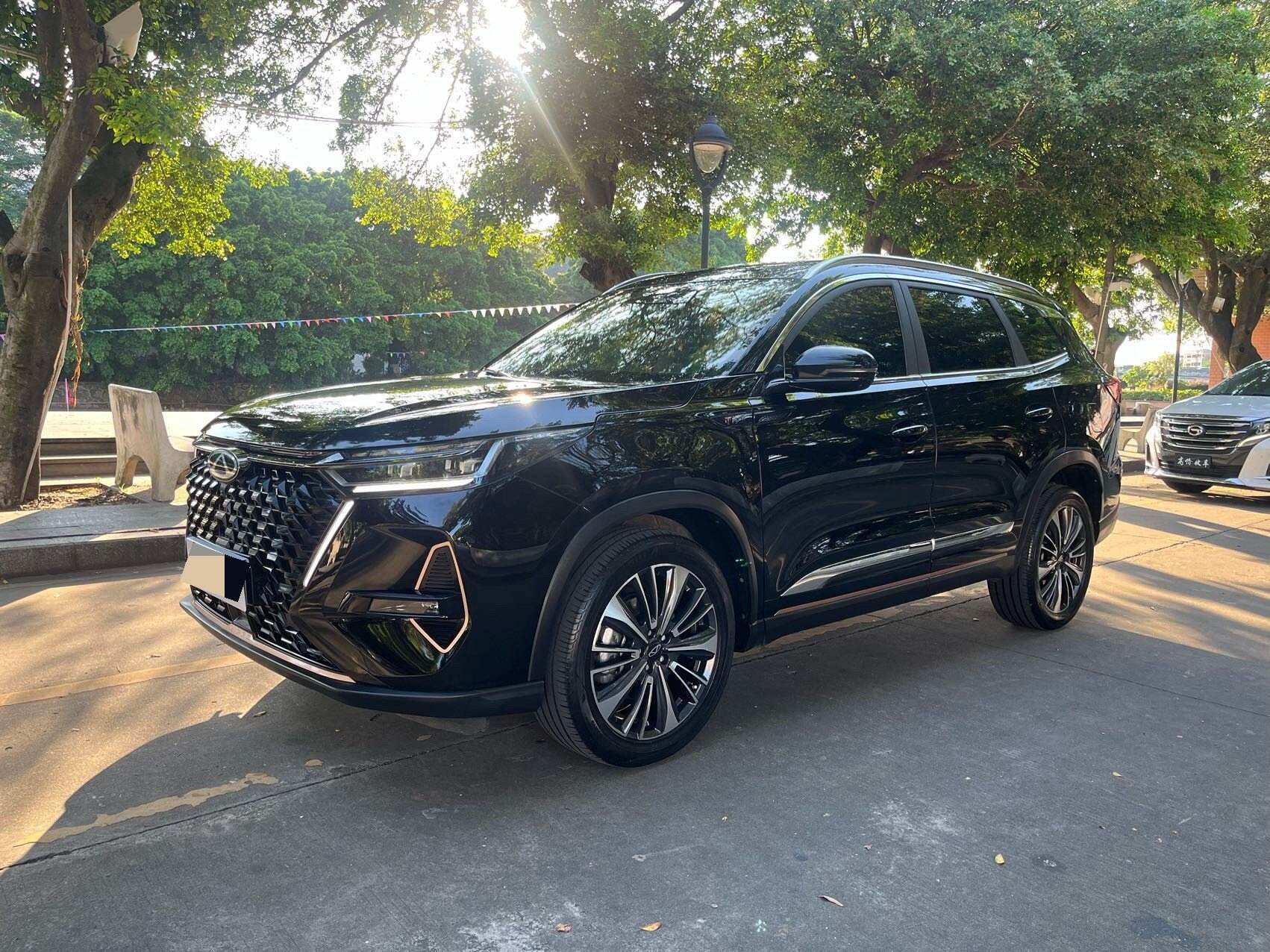 Ruixing 8 PRO 2.0T 390T Champion 2WD Elite 7-seater