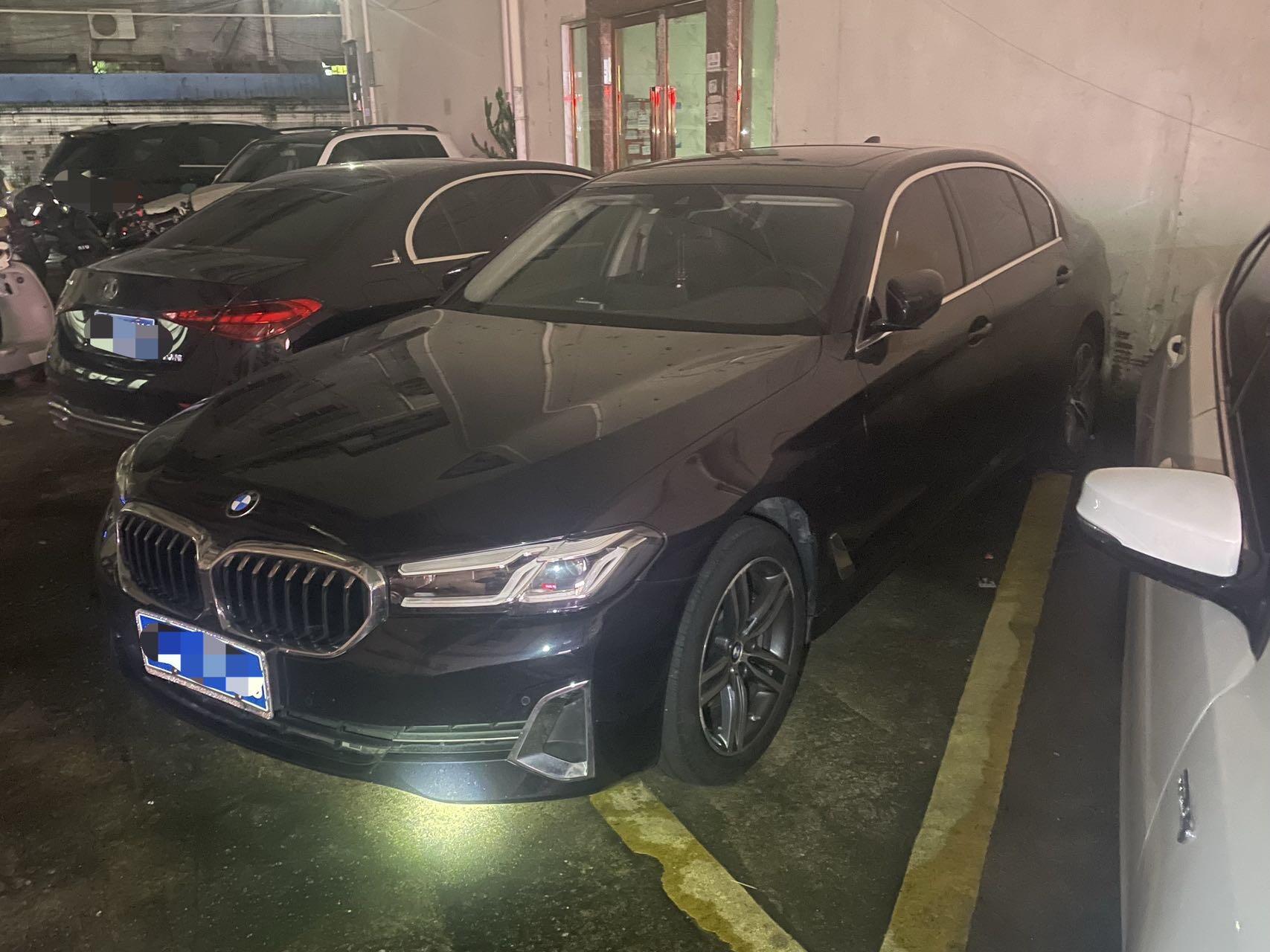 530Li 2.0T Leading Luxury Package