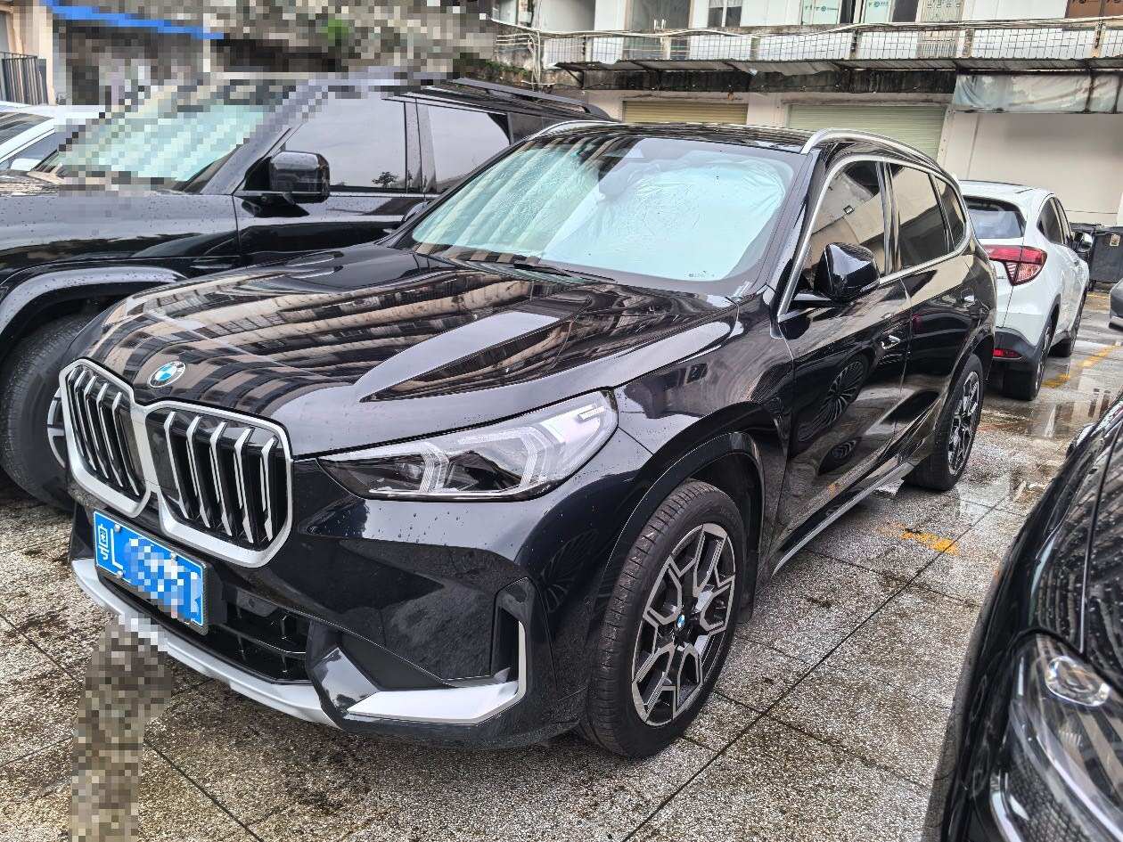 X1 xDrive25Li 2.0T X Design Package