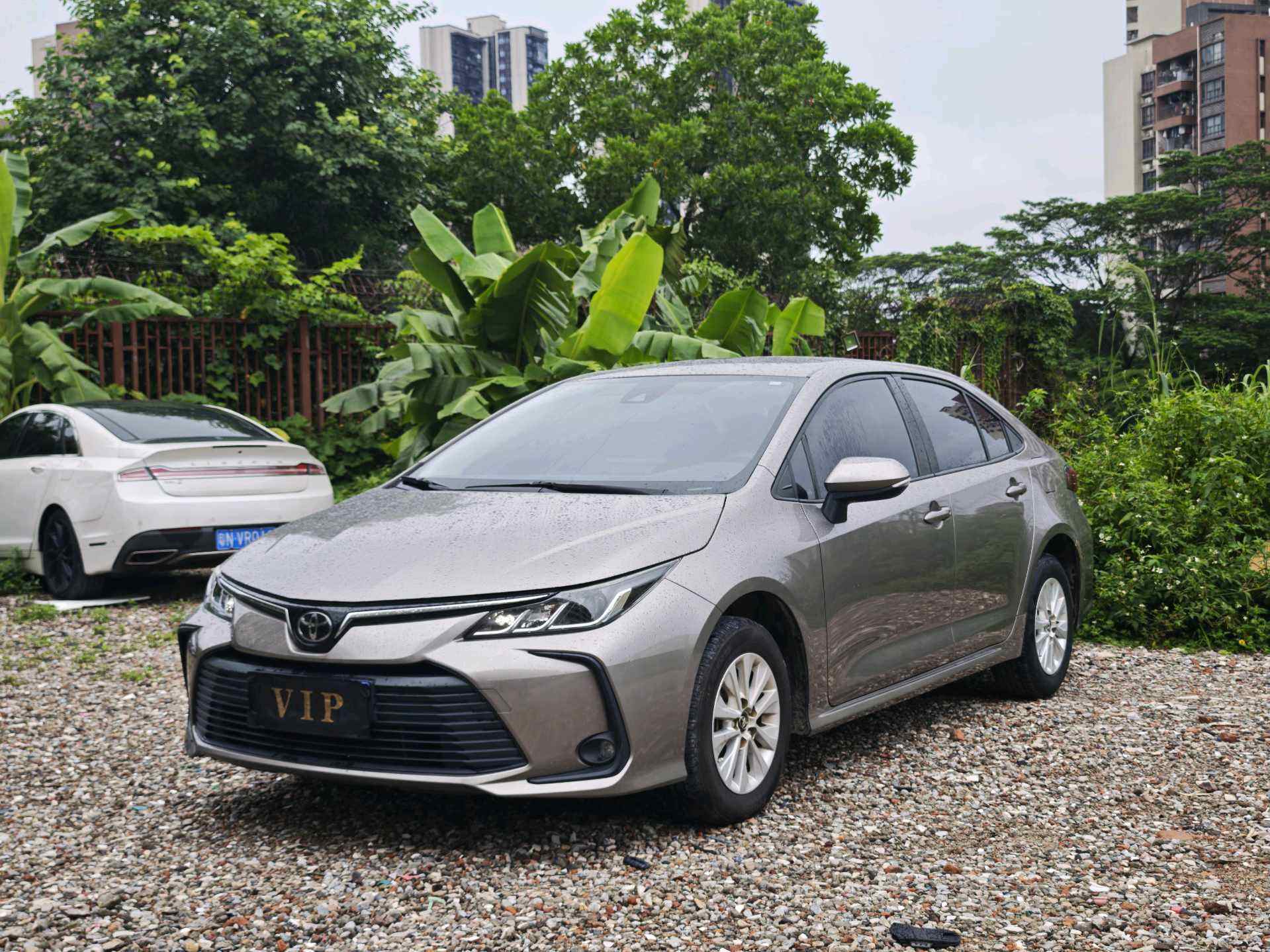 2019 Toyota Corolla 1.2T CVT GL-Frontier Edition