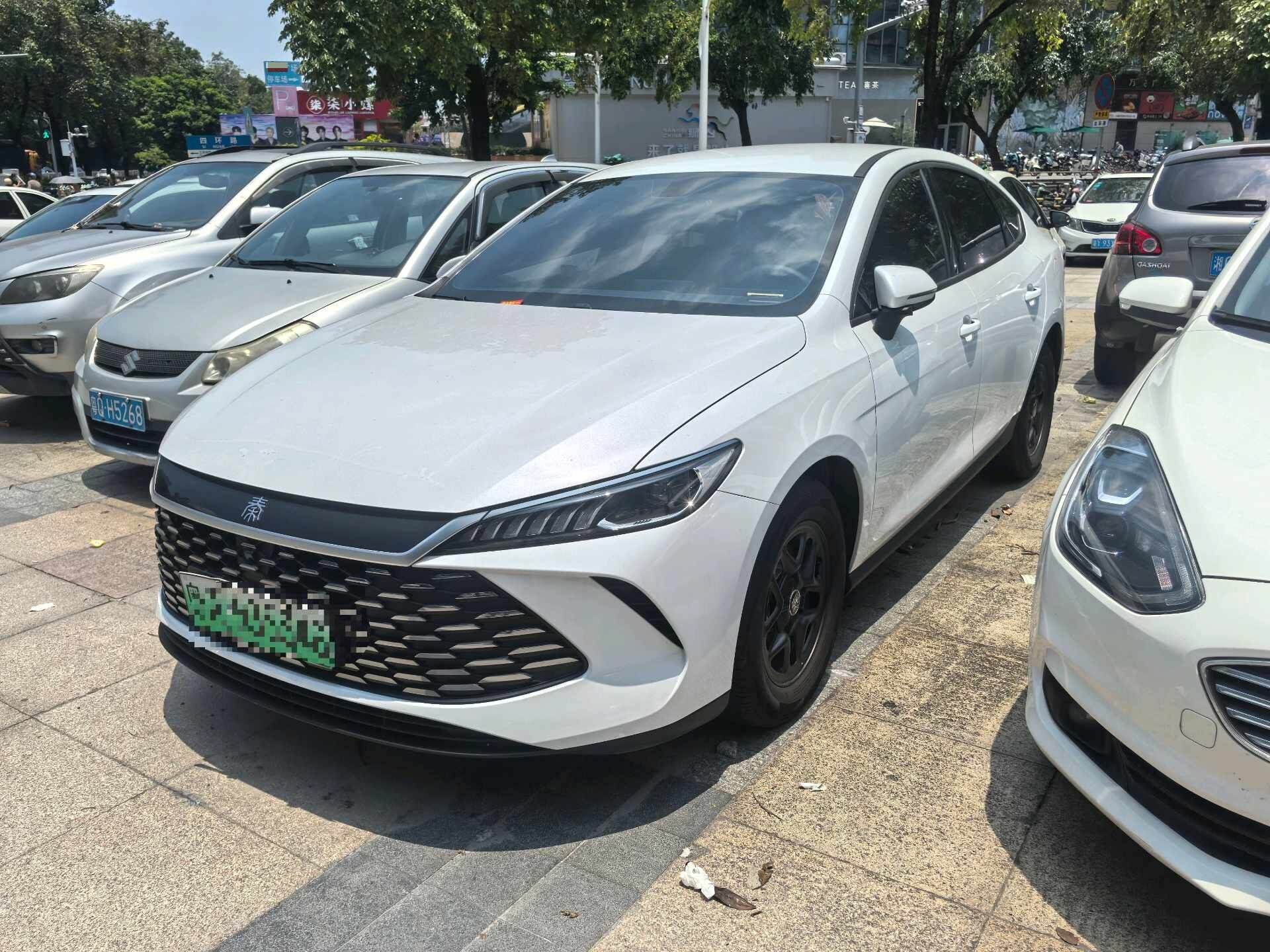 2025 Qin PLUS DM-i 1.5 CVT Intelligent Driving Edition 55KM Leading Type